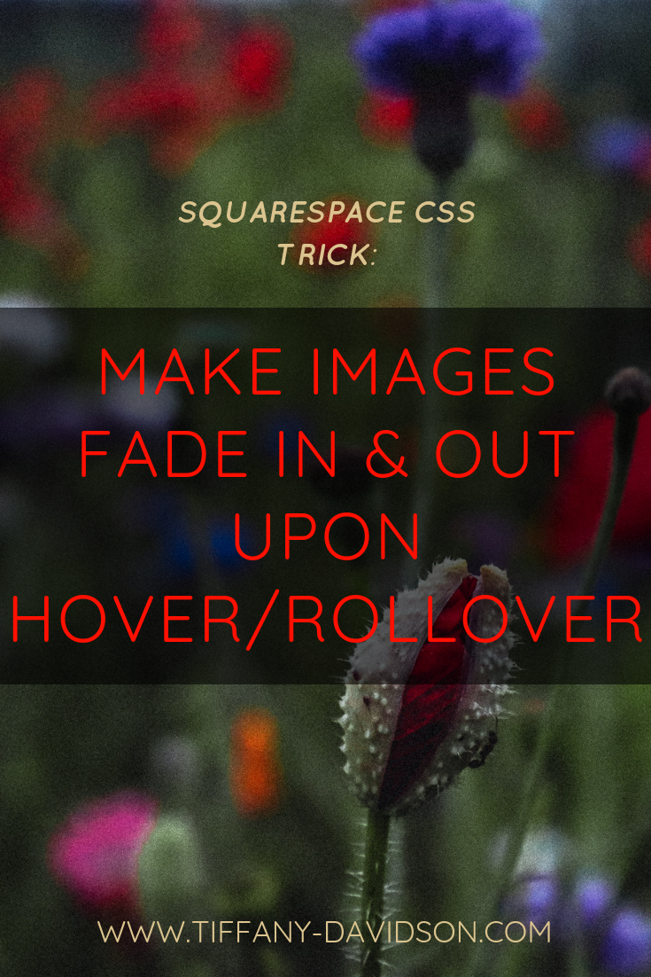 Squarespace CSS Tricks: Make Images Fade In & Out Upon Hover/Rollover —  ⋆⋆⋆⋆⋆ Squarespace Web Design & SEO by Tiffany :: Custom Squarespace  Websites with Expert-level SEO | Squarespace Web Designer |