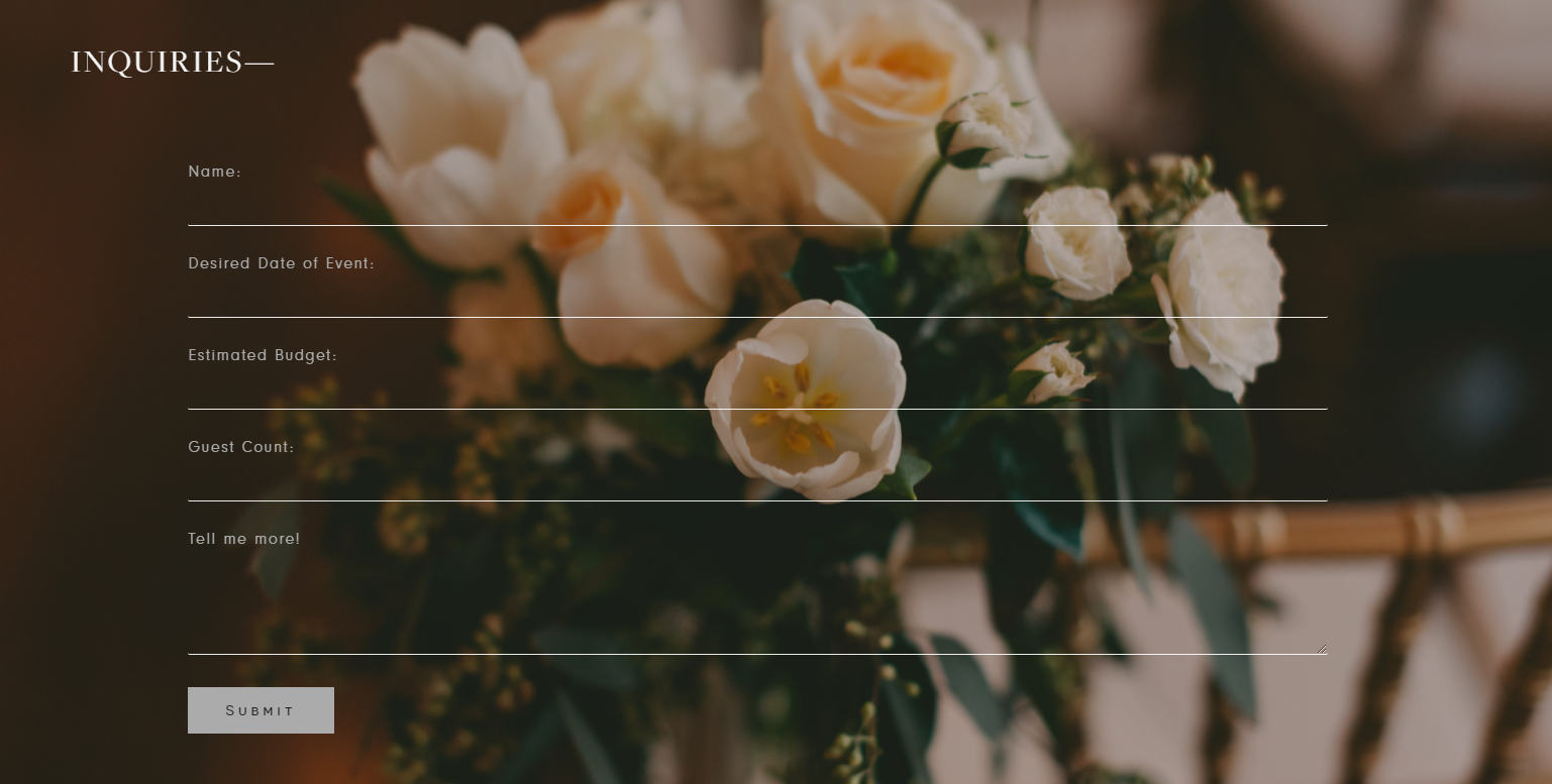 Tiffany Davidson Squarespace Web Design Custom CSS Custom Contact Form Transparent.png
