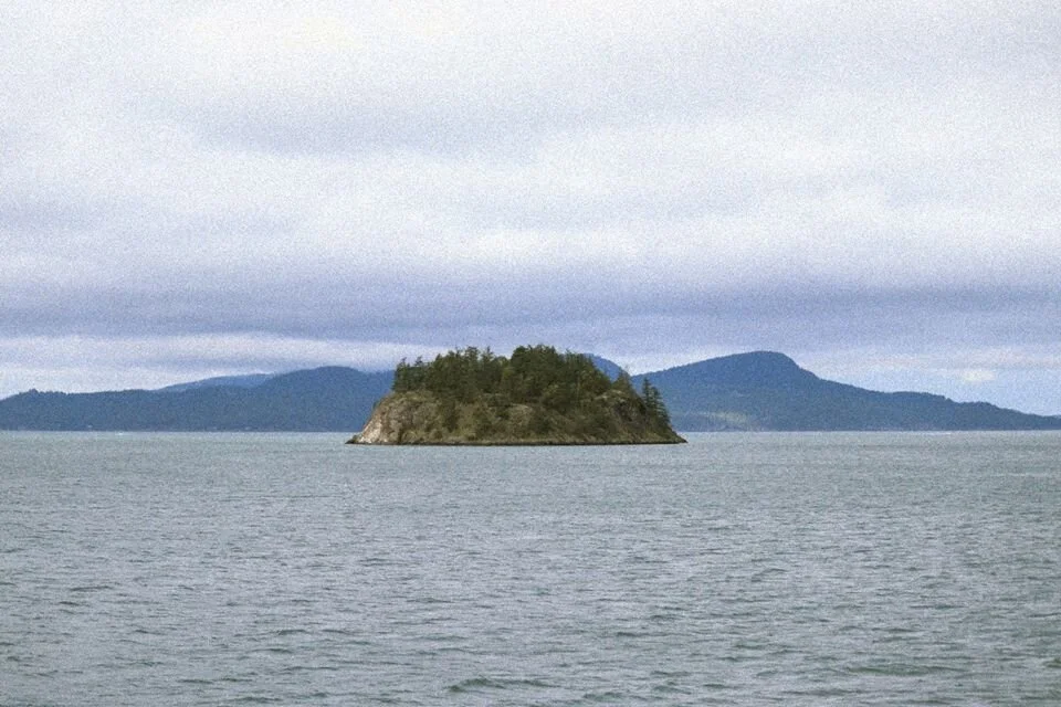 Photo by Tiffany Davidson; Taken while on a hundred-mile sea voyage through the San Juan Islands, Washington