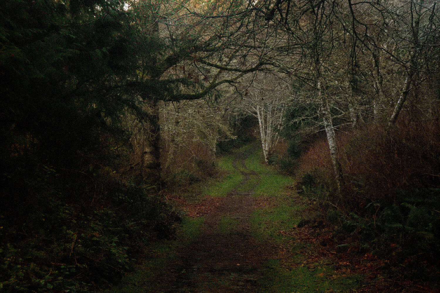 Photo by Tiffany Davidson; Taken at Fort Flagler park on Marrowstone Island, Washington