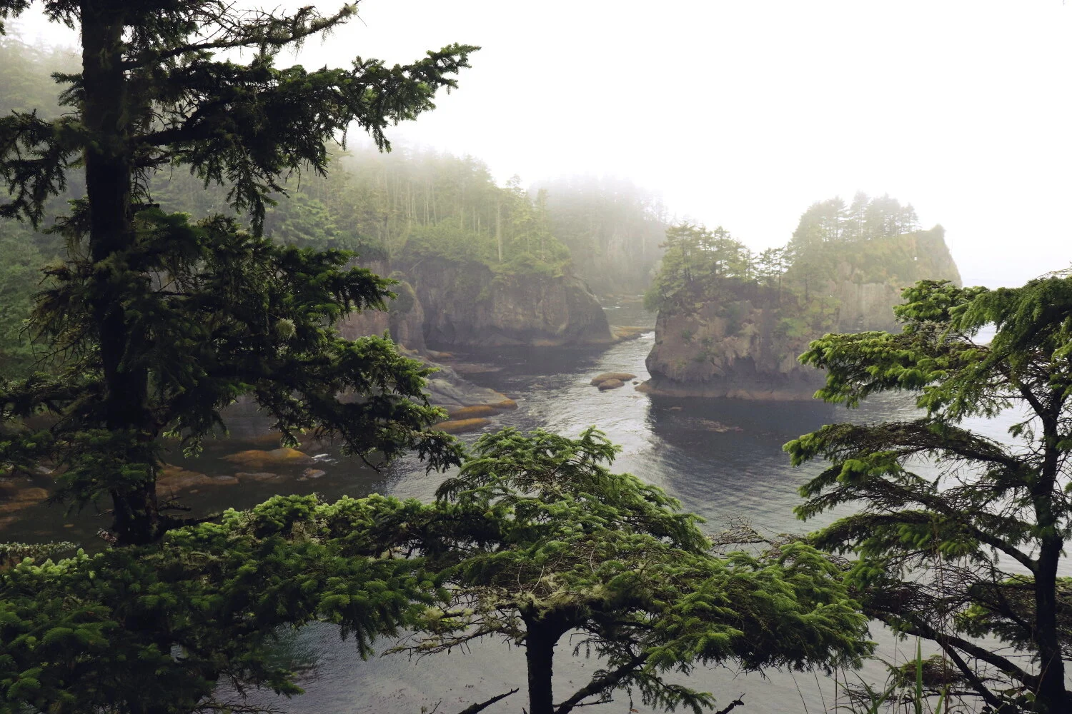 Photo by Tiffany Davidson; Cape Flattery, Washington (the most northwest point in the contiguous US)