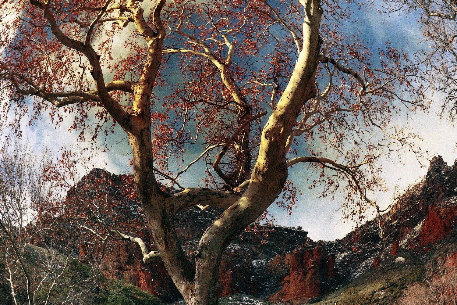 Photo by Tiffany Davidson; Taken near Sedona, Arizona