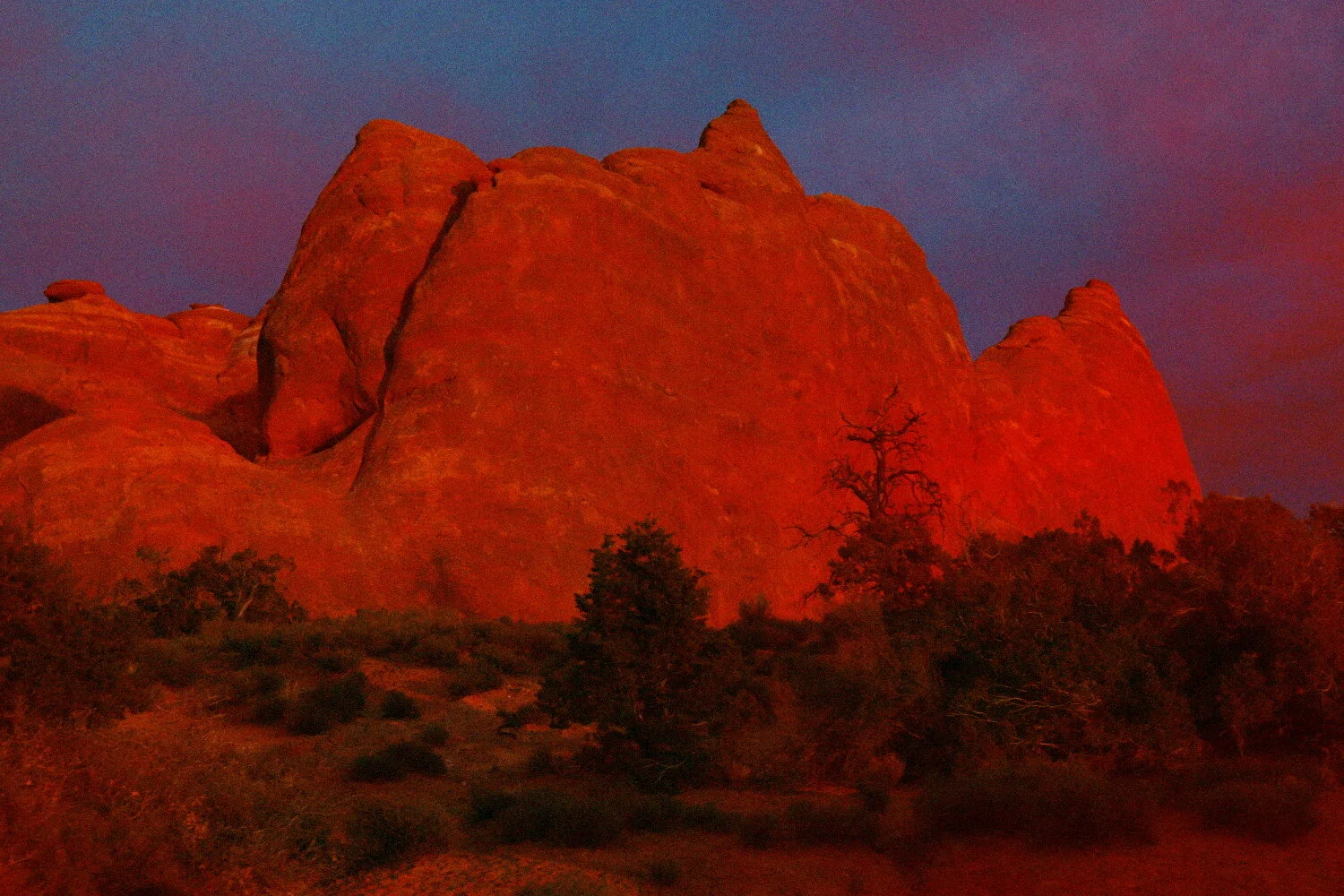 Photo by Tiffany Davidson; Taken in Arches National Park near Moab, Utah