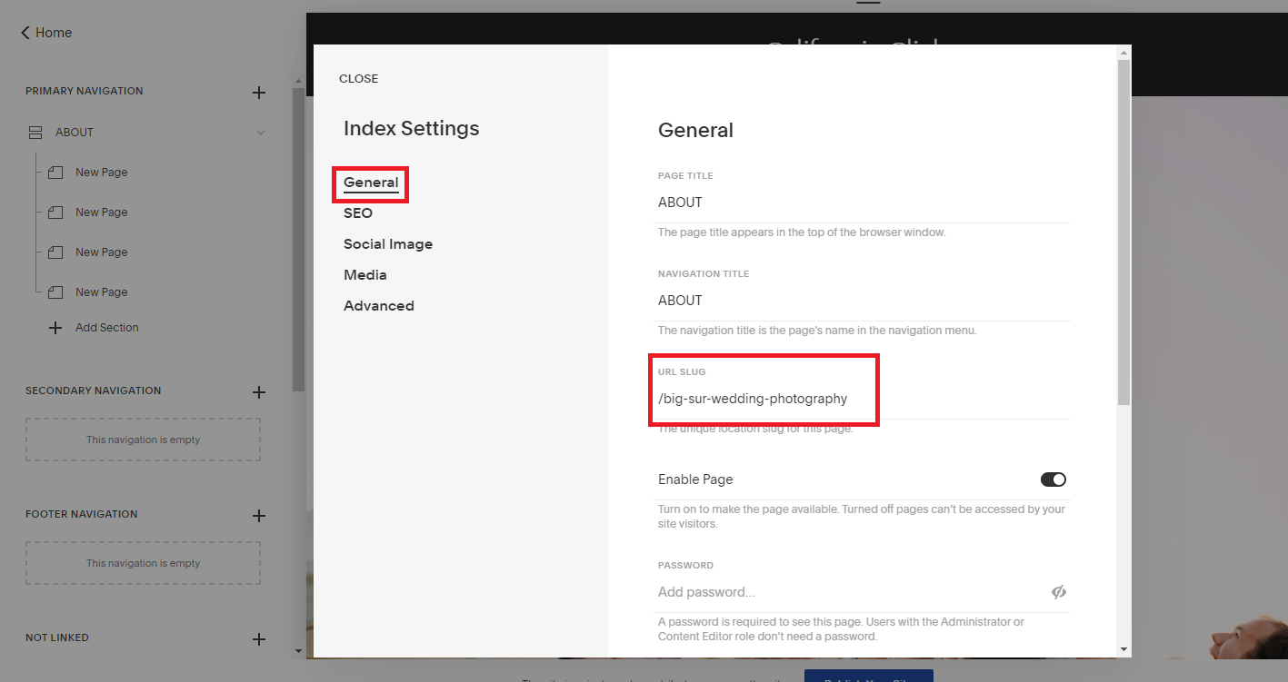 Tiffany Davidson Squarespace SEO Expert Course
