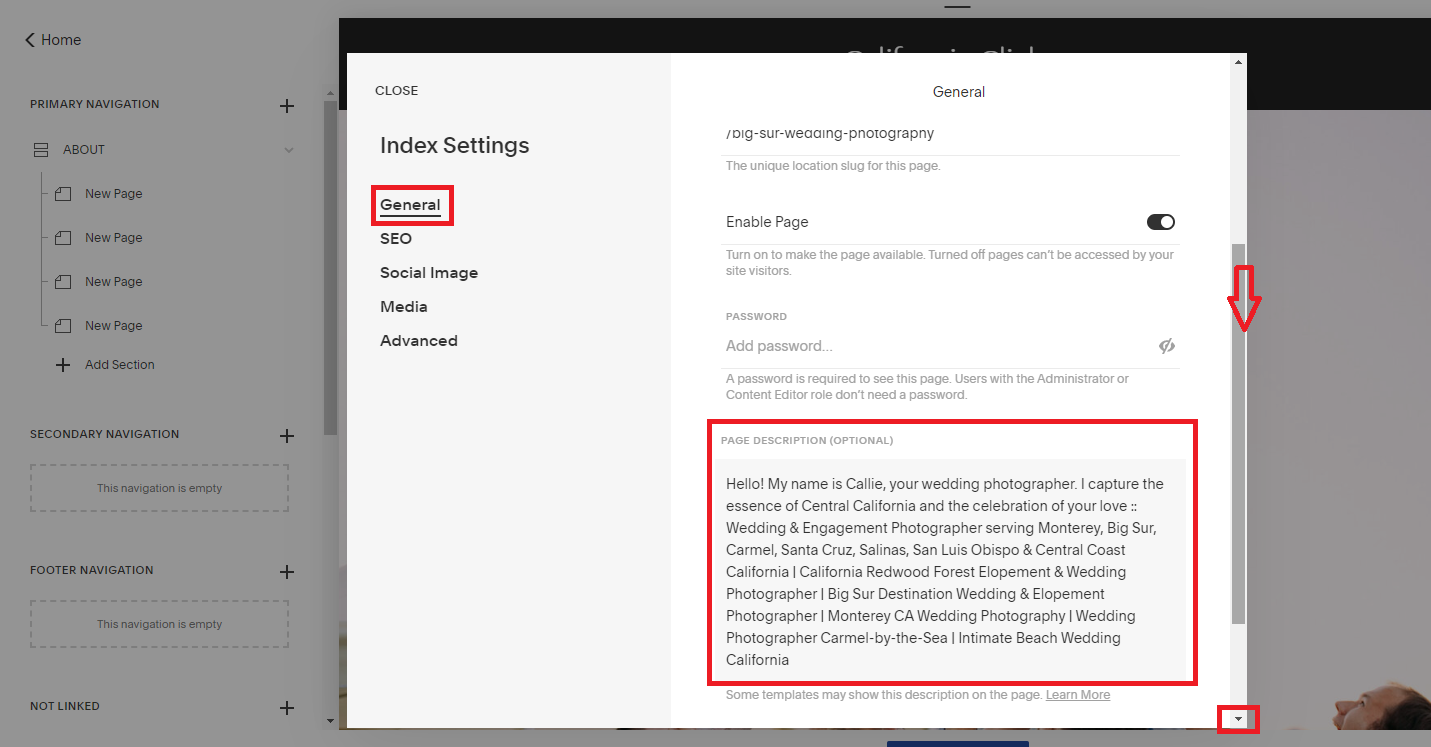 Tiffany Davidson Squarespace SEO Expert Course