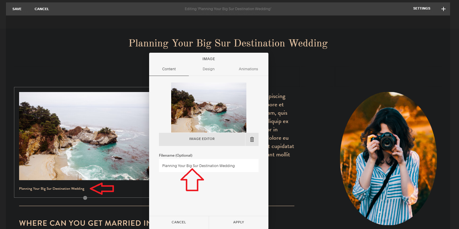 Tiffany Davidson Squarespace SEO Expert Course