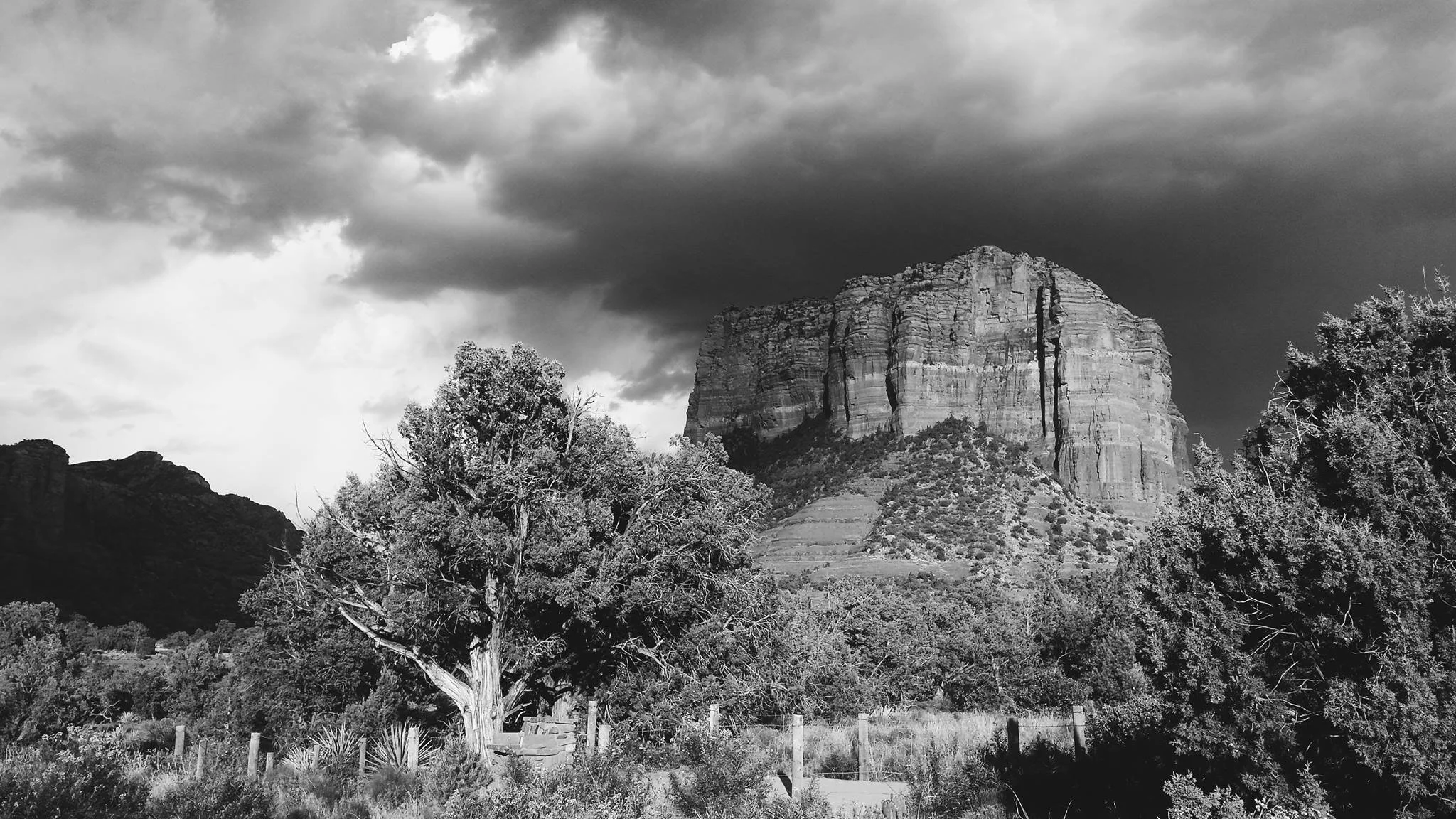 Photo by Tiffany Davidson; Taken in Sedona, Arizona