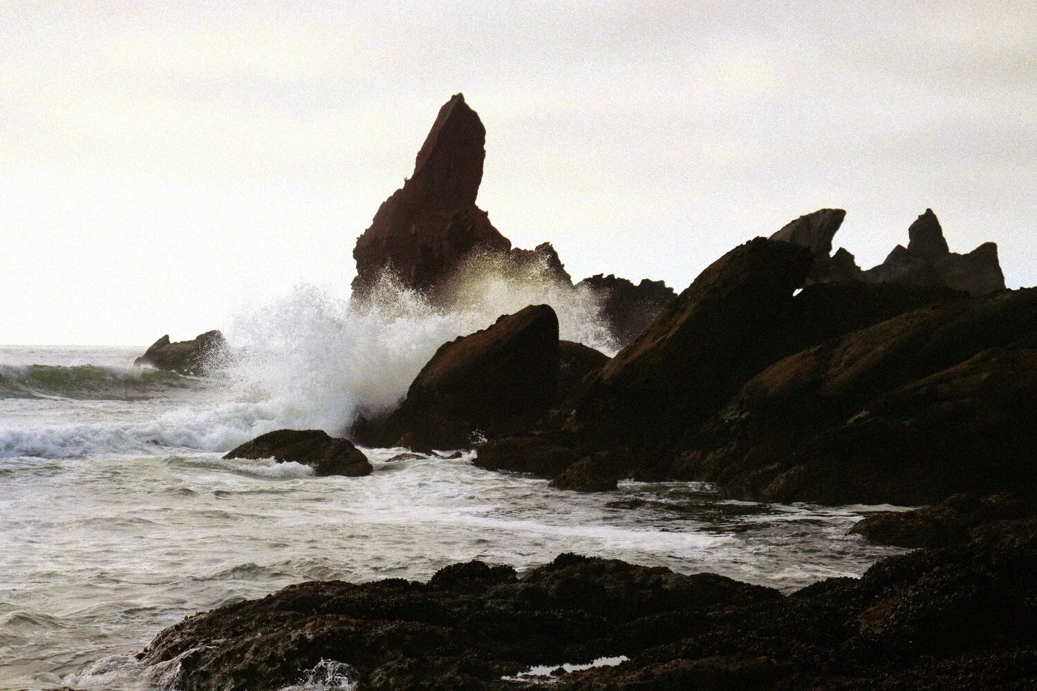 Photo by Tiffany Davidson; taken at Shi Shi Beach, Washington
