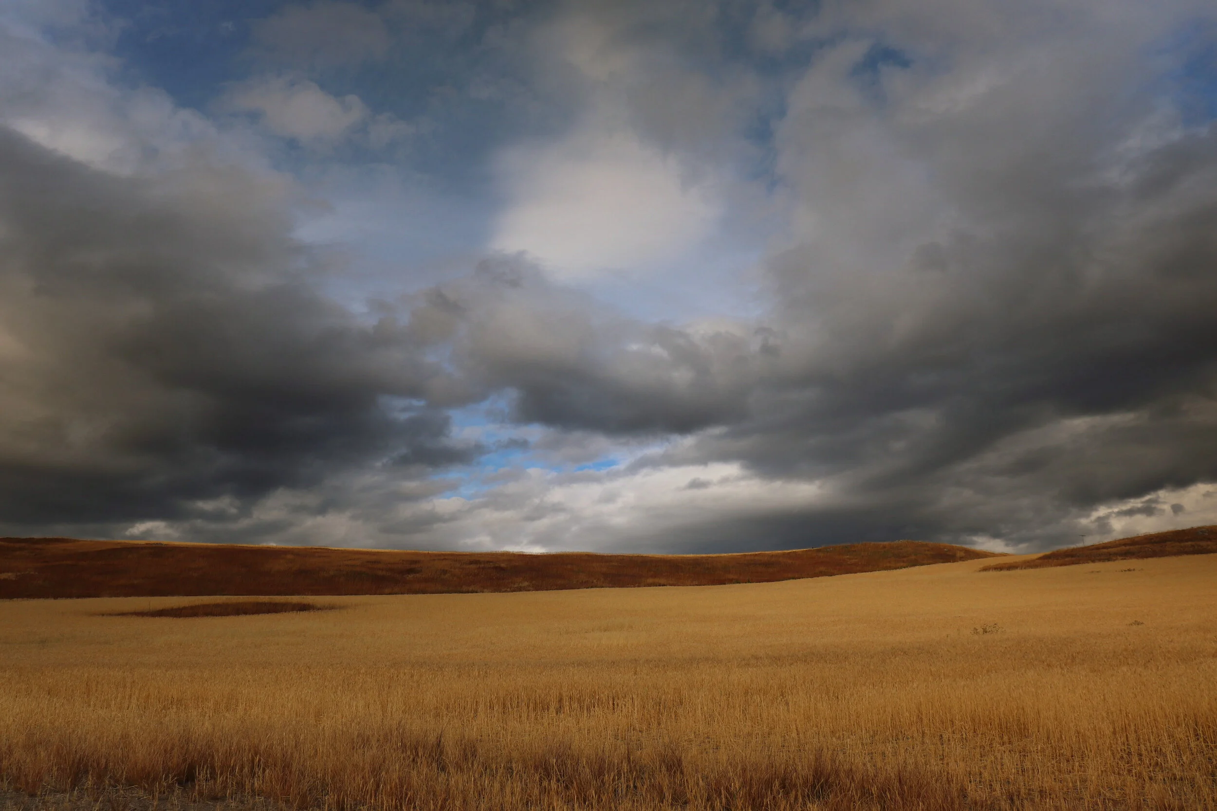 Tiffany Davidson Squarespace SEO Expert Course