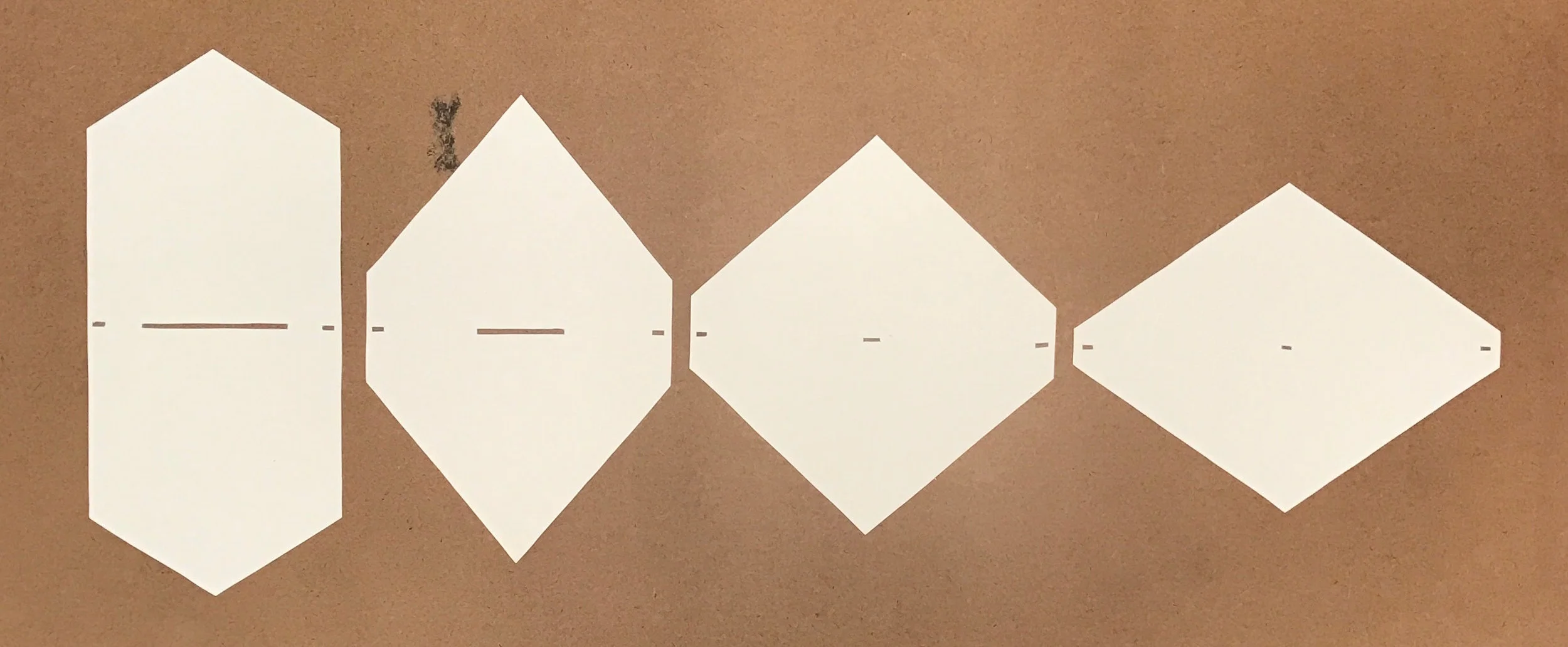 A0145DC9-89CB-46D0-8940-A6E319D57A69 copy.JPG