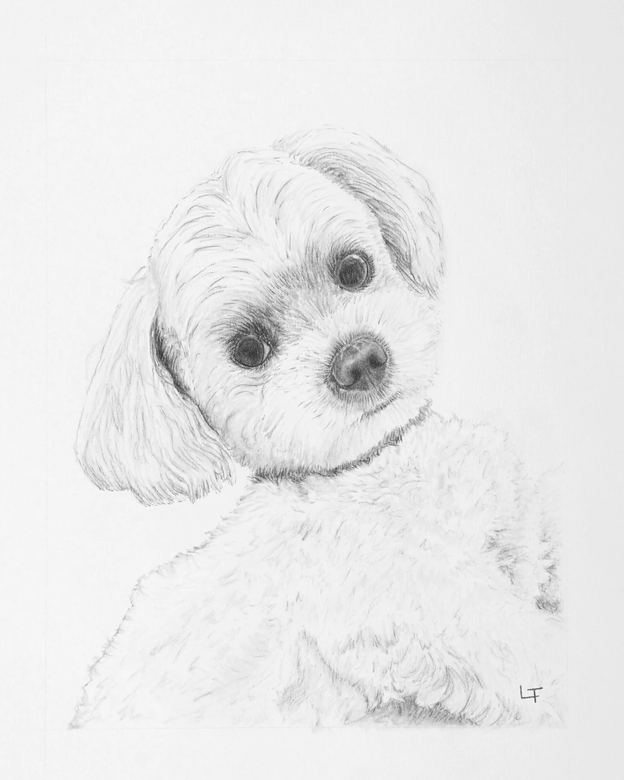 Doggie-184-16x20+-+LTD-min.jpg