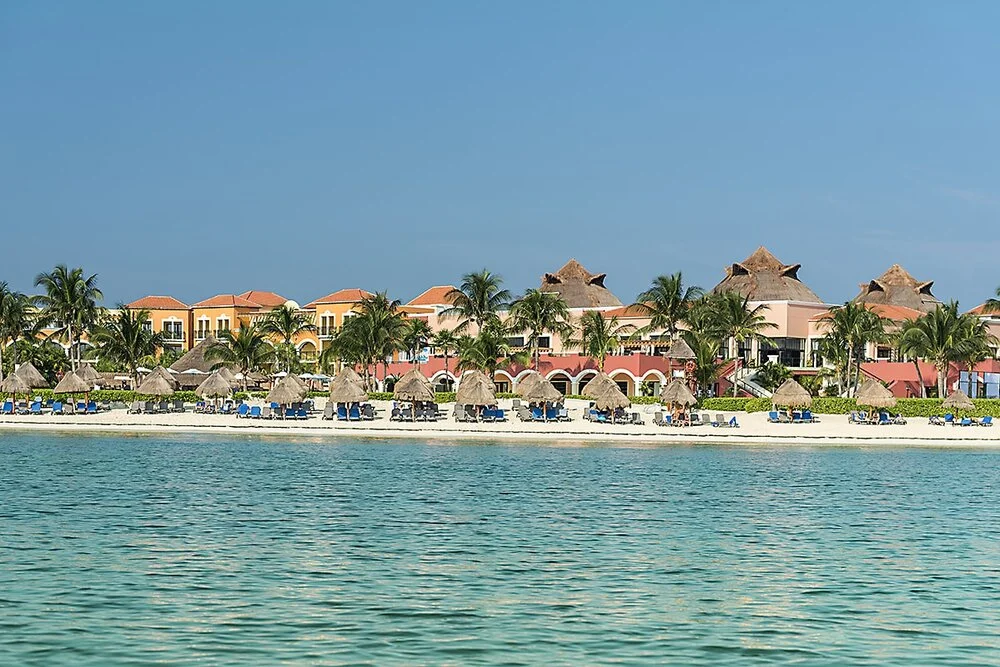 ocean coral beach.jpg