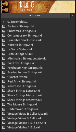 afflatusstrezovGUI2 patches ensembles.png