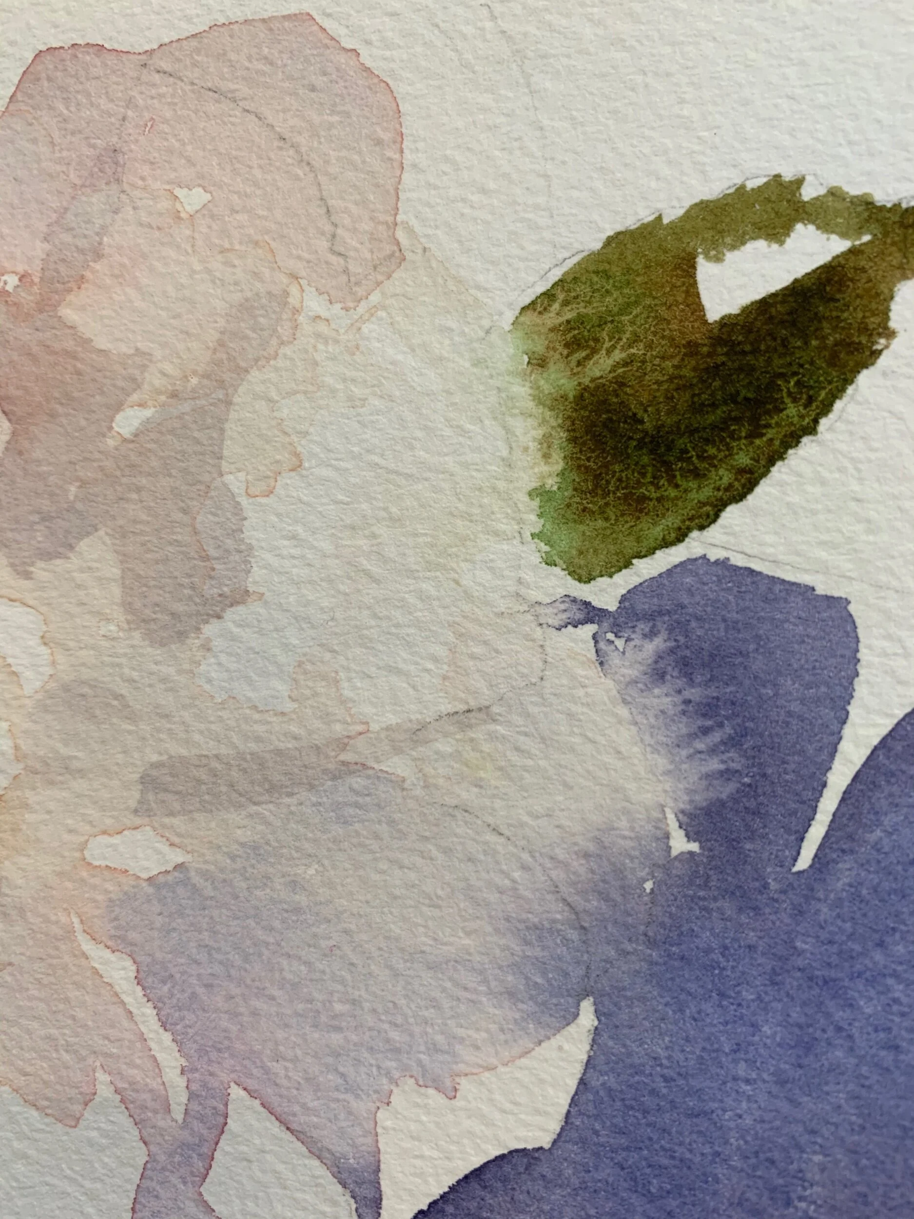 4DA78564-9BA9-4A01-B438-87223E639099