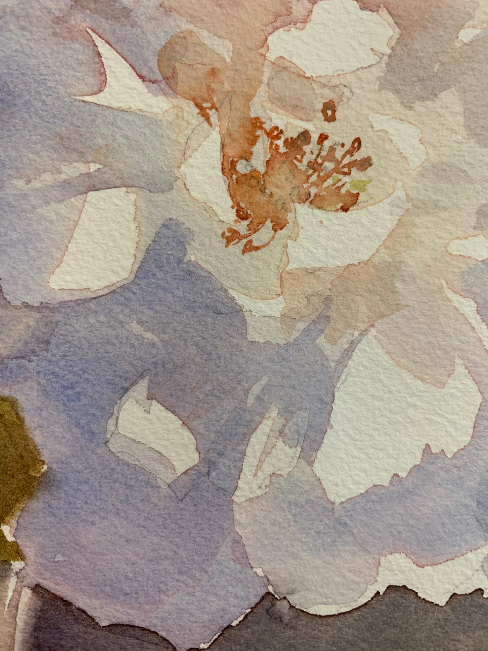 C4EEAE6C-C26F-44BF-B6BB-B423194D145B