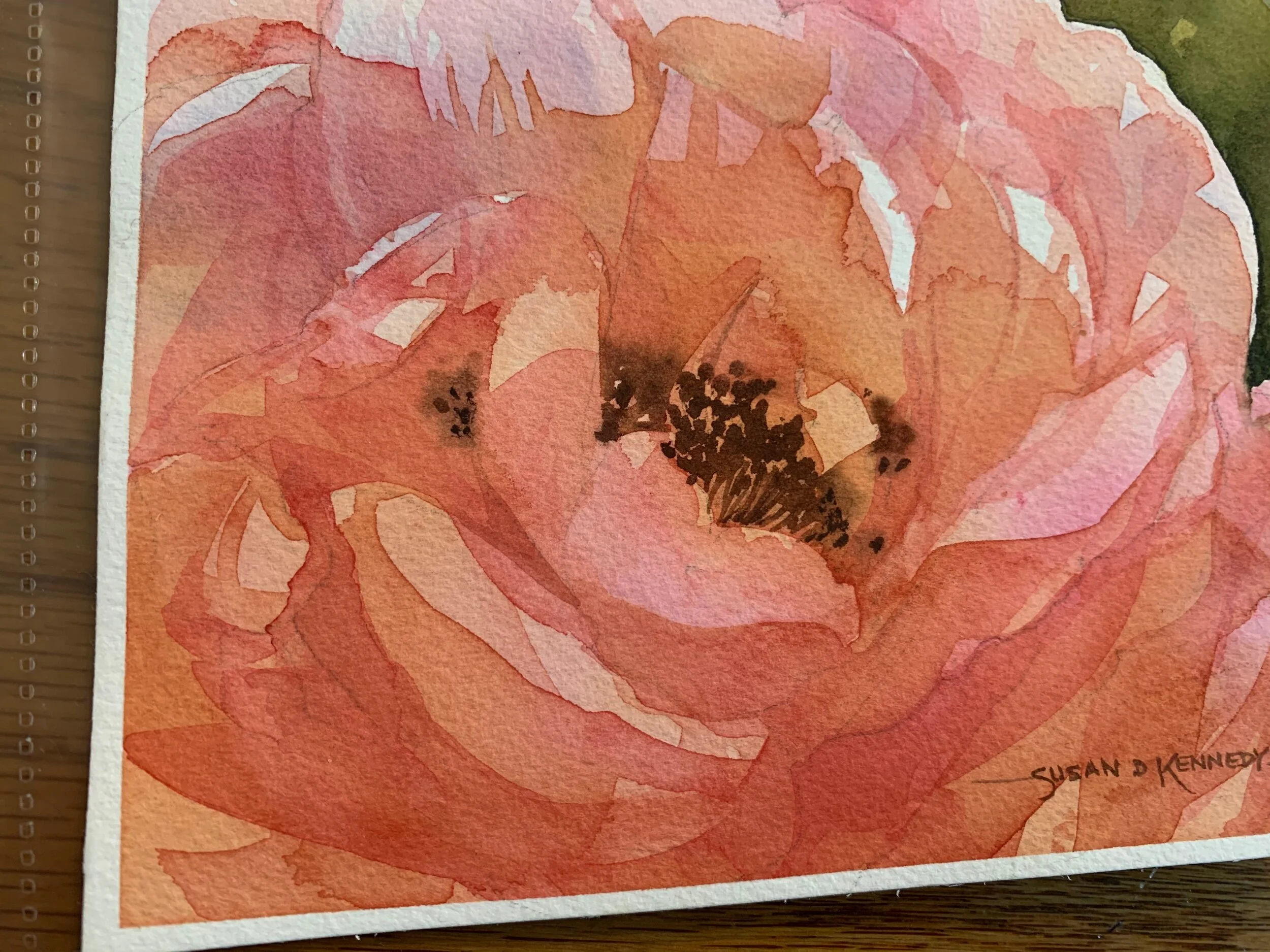 54711160-FDF3-4076-B244-460E4BFC9ADA