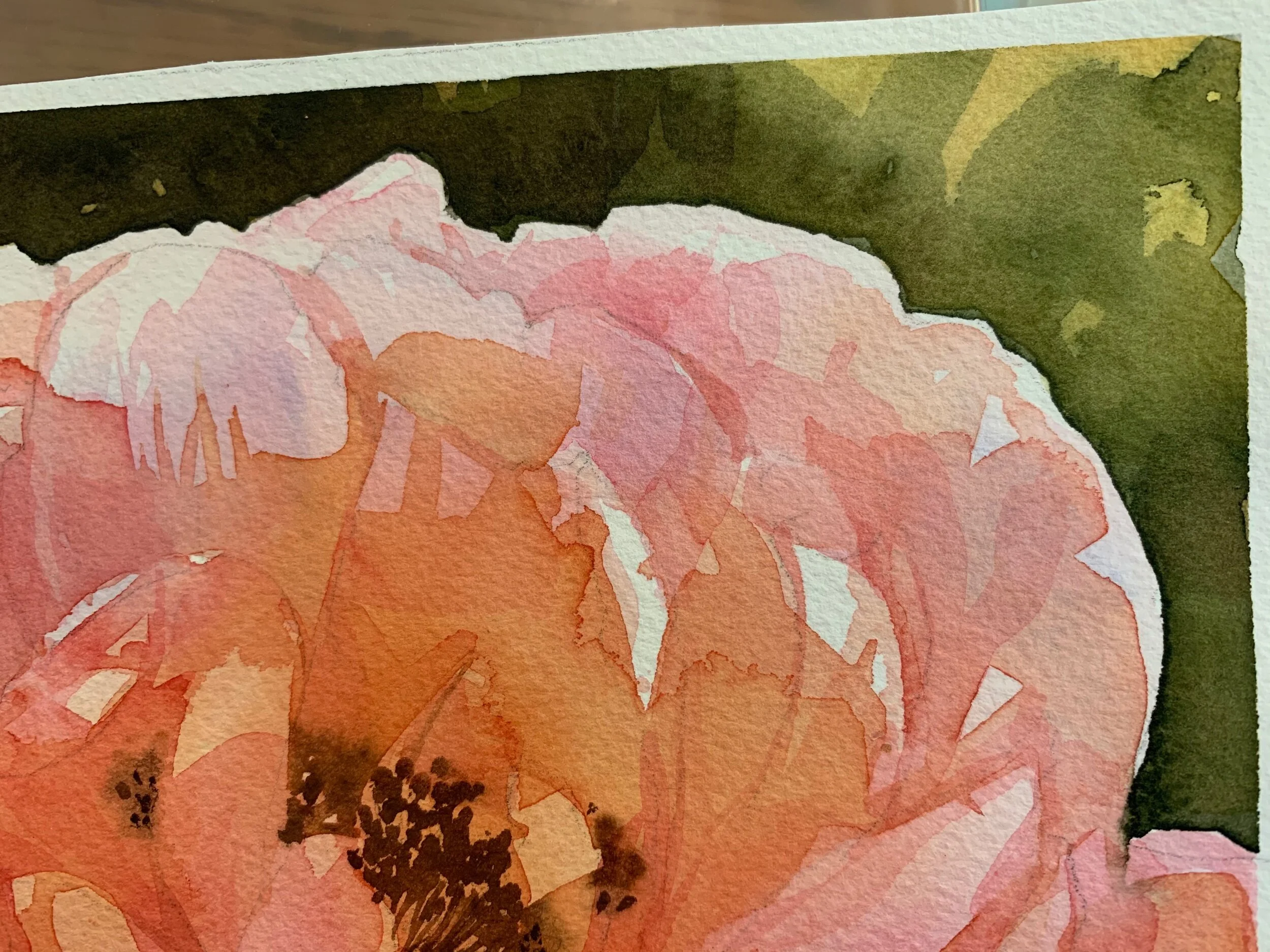 8ED17B4F-7FA4-4DD2-B63D-A4A251FFFE98