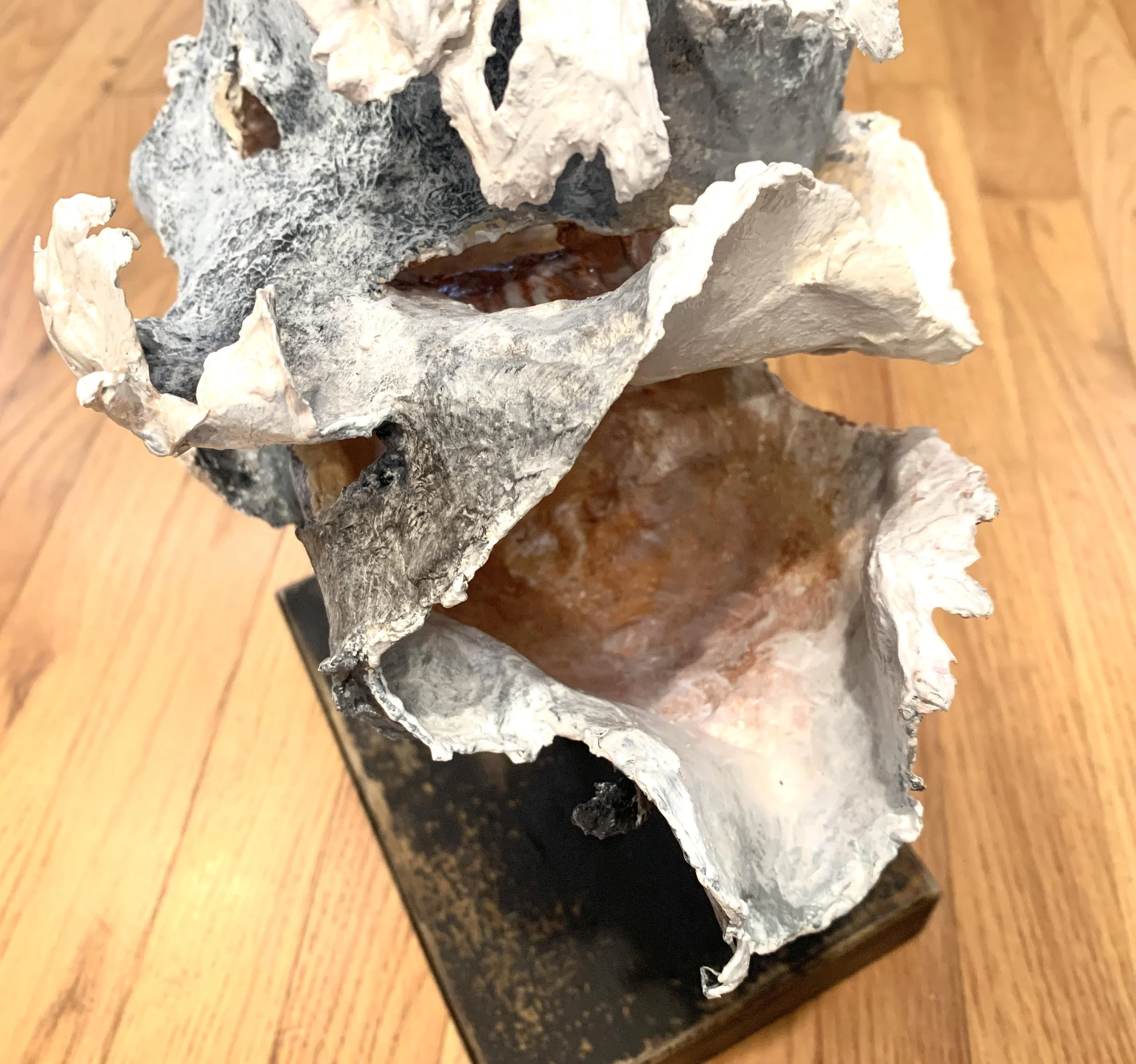 coastal forms 1 e.jpg