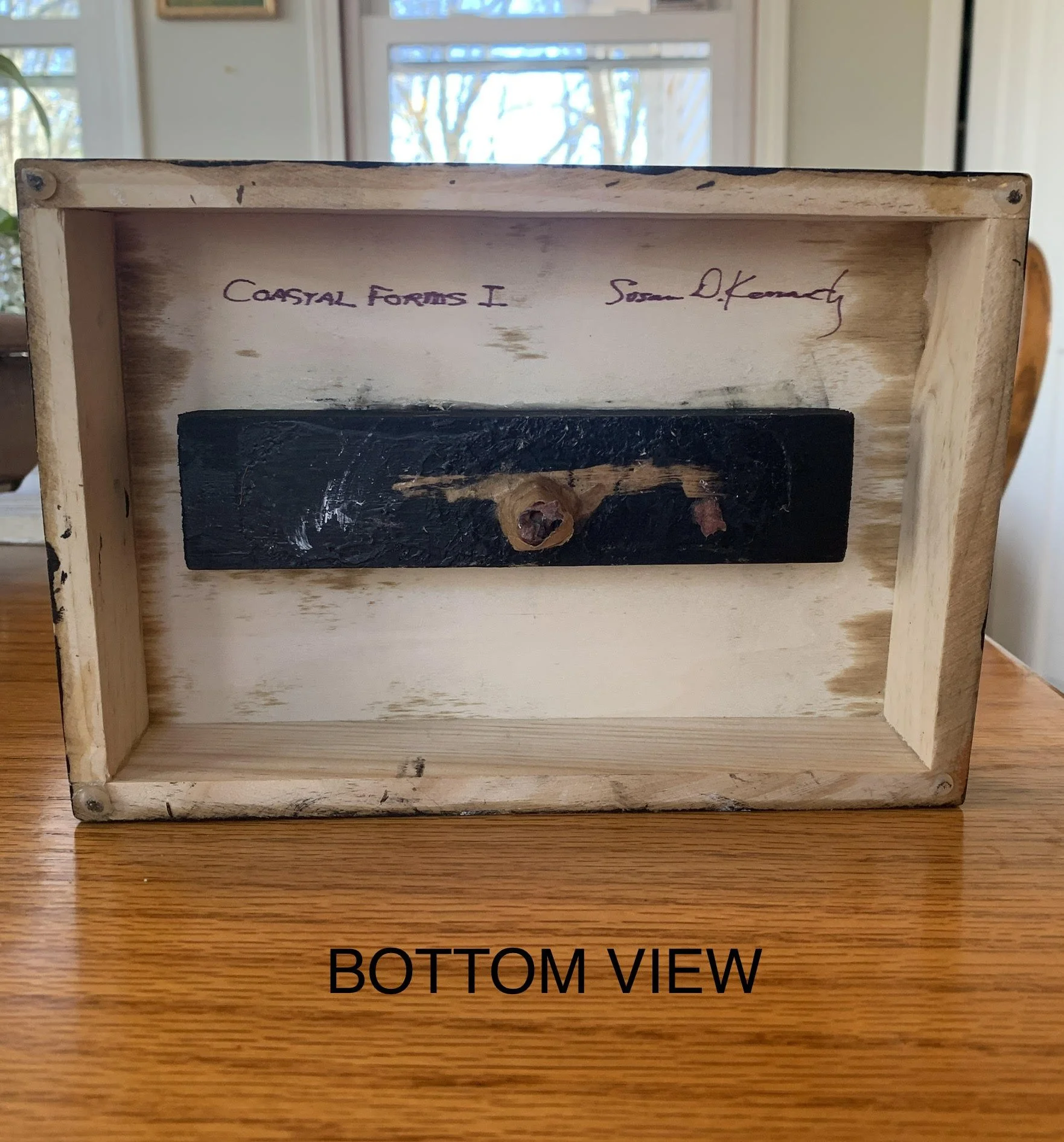 coastal forms 1 bottom.jpg