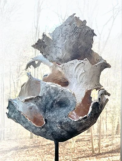 Coastal Forms Susan Kennedy.jpg