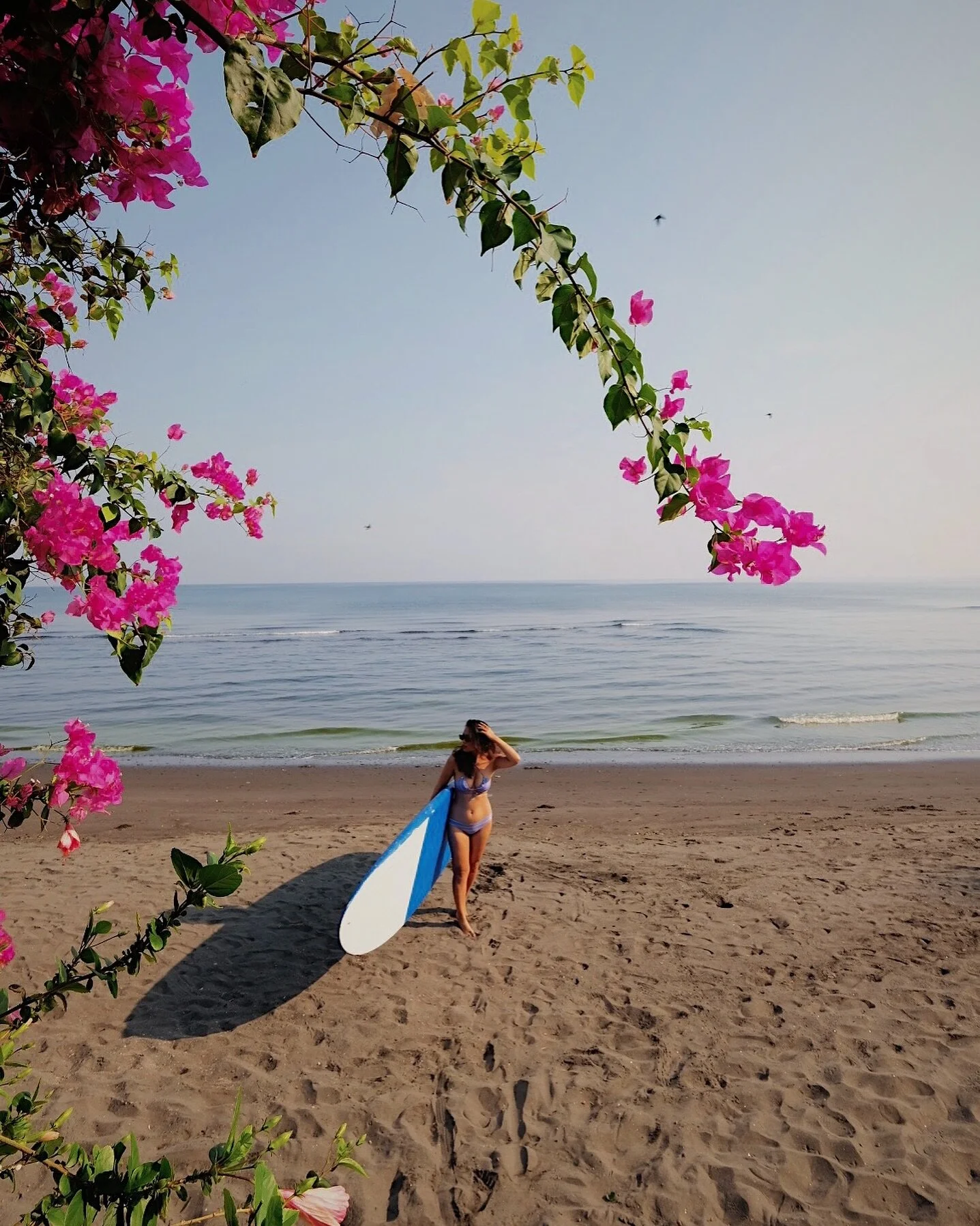 Did you know we have 10 stand up paddle boards available to hire at The Villas North Bali? 🏝️Make your holiday one to remember ✨ #thevillasnorthbali #airbnbsuperhost