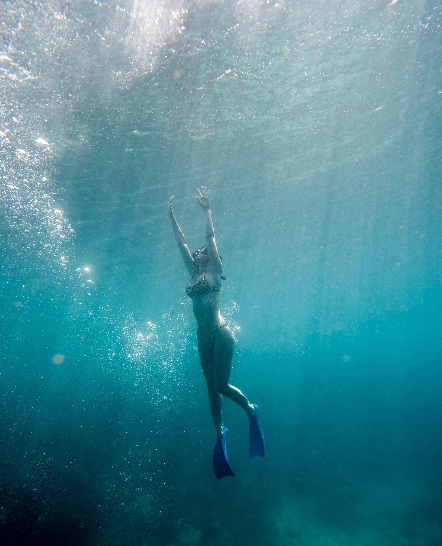 Dive into a world of wonder! 🐠 Discover the enchantment of Menjangan Island, nestled to the North West of Bali in the heart of the Indonesian archipelago. ⁠
⁠
This snorkelling adventure is a voyage into underwater bliss, complete with:⁠
🌟 Luxury Ai