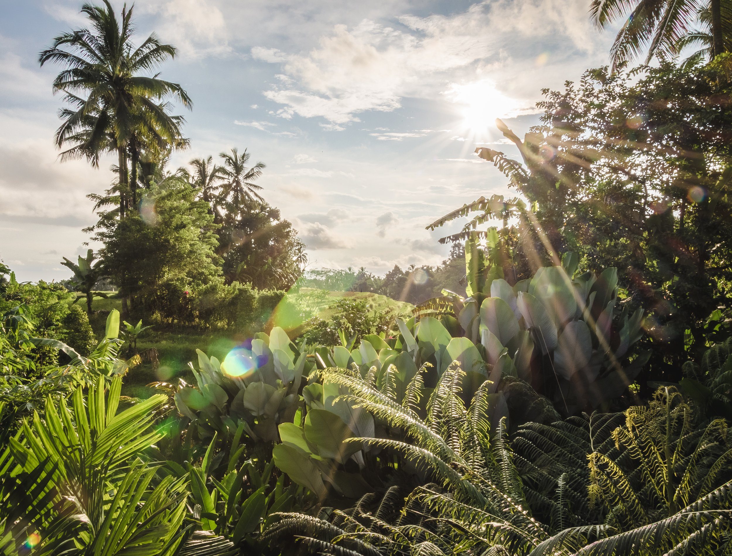 Yoga & Meditation Berwick Om Som Yoga & Ayurveda