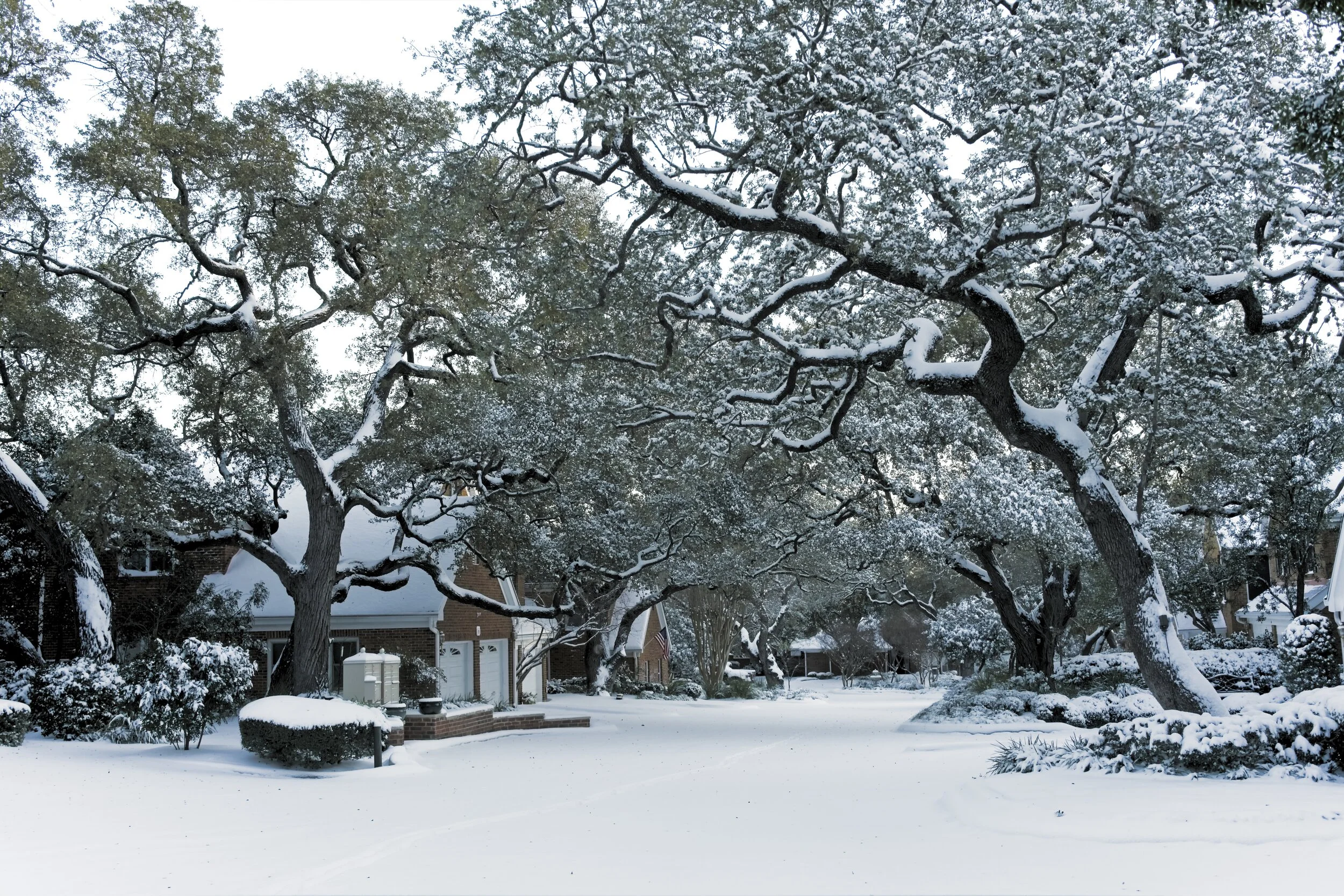 Snow