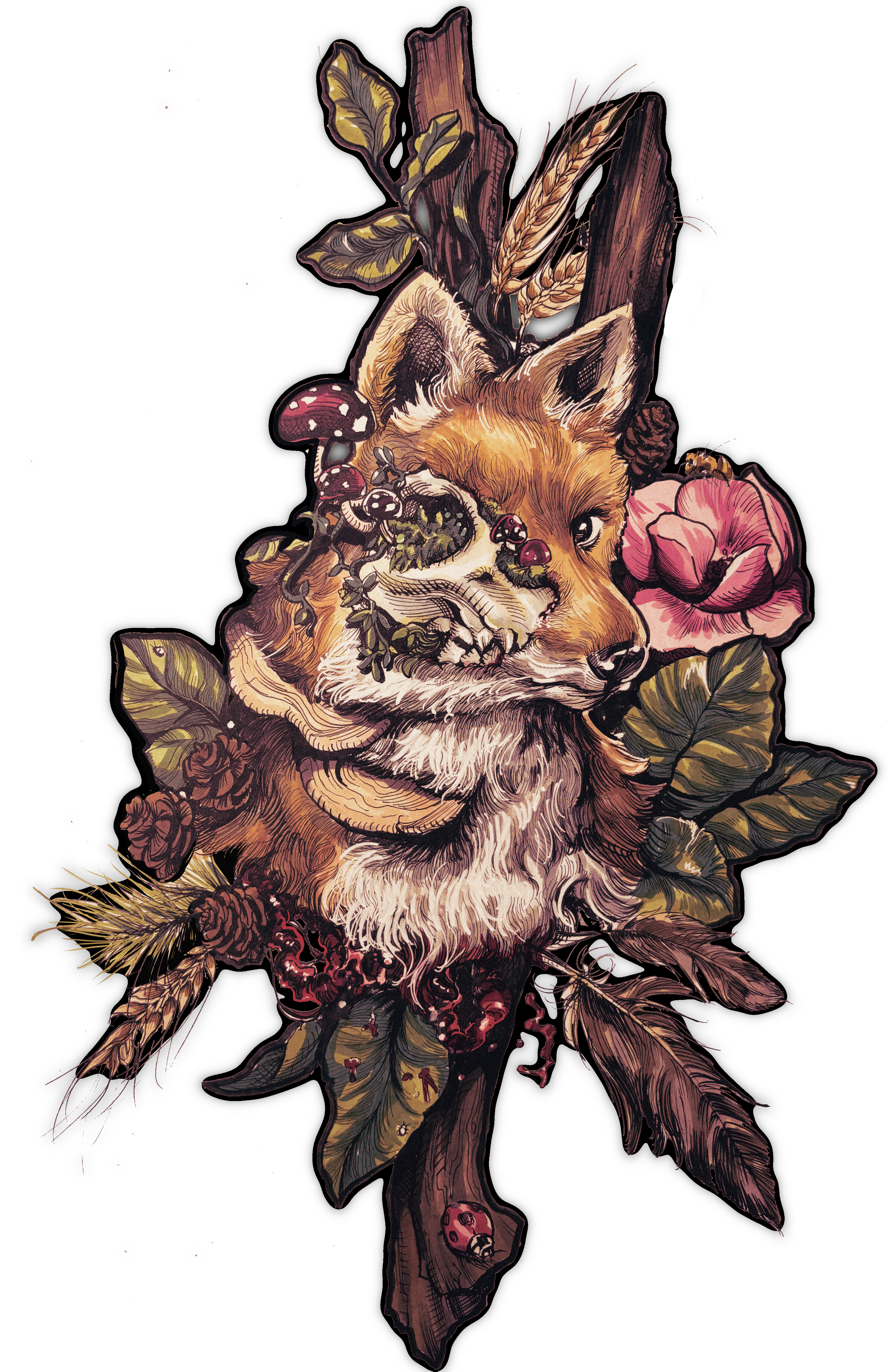 IMG_7377.png