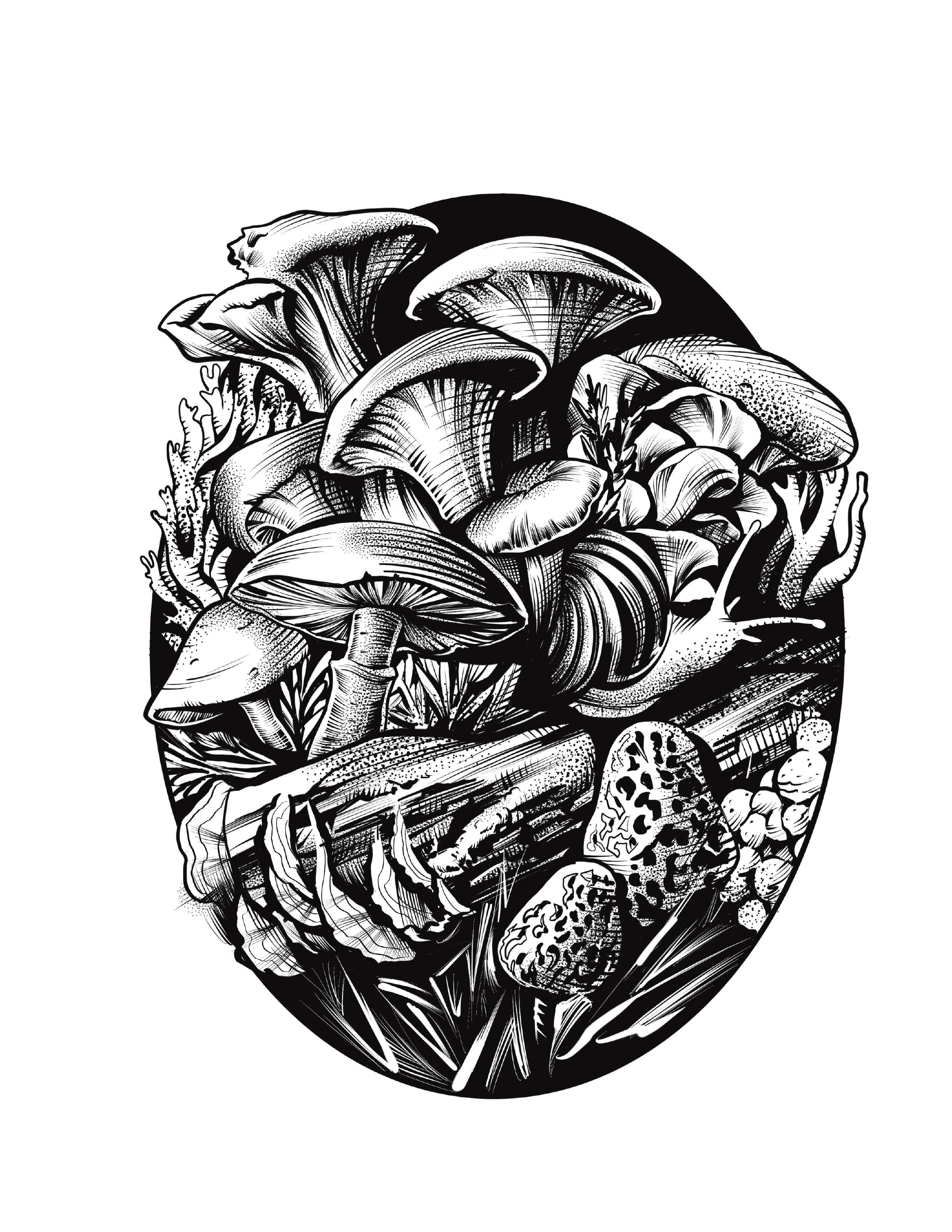 An artistic illustration of a jar filled with various mushrooms and fungi.