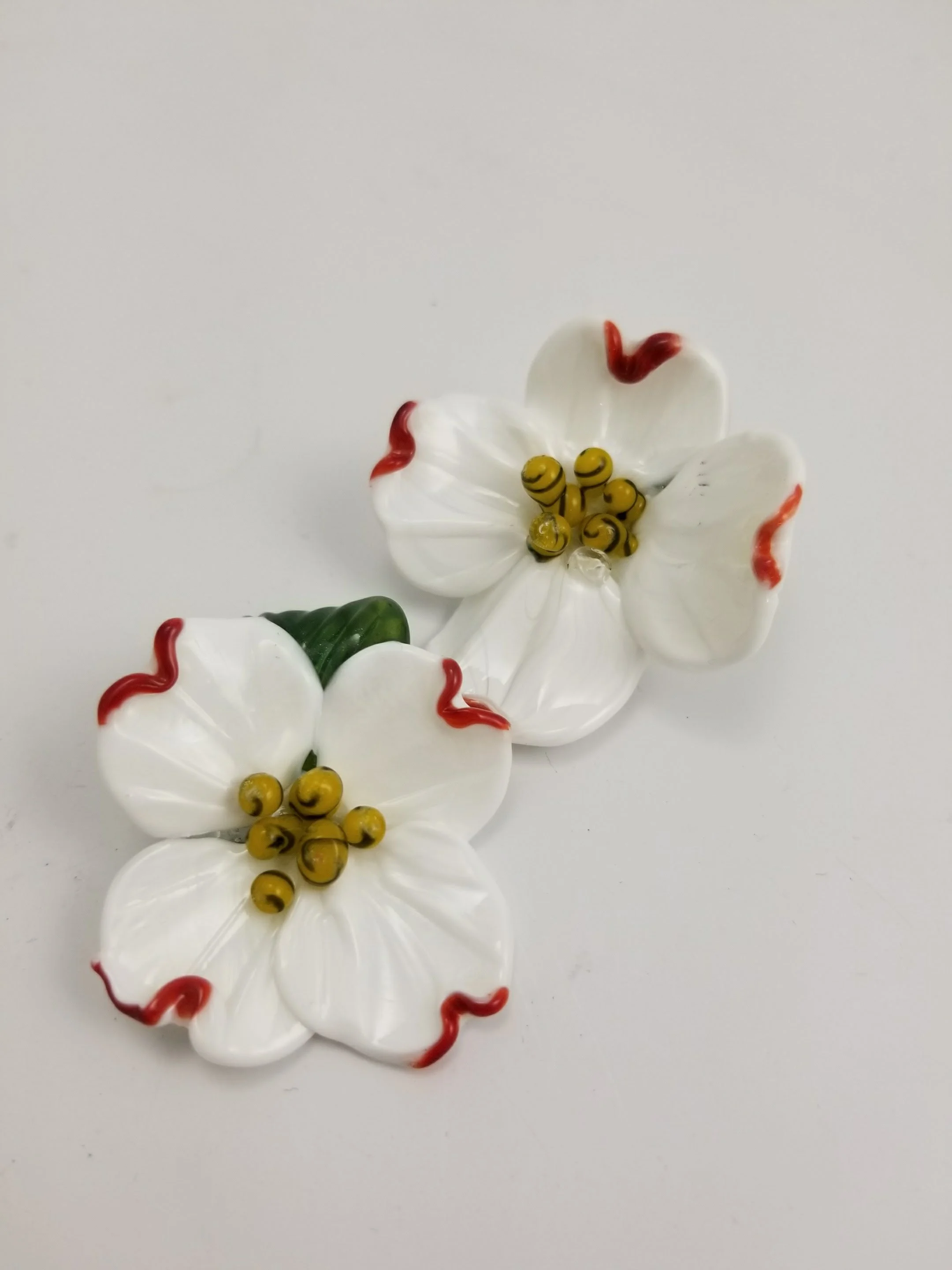 20180225_124912.jpg