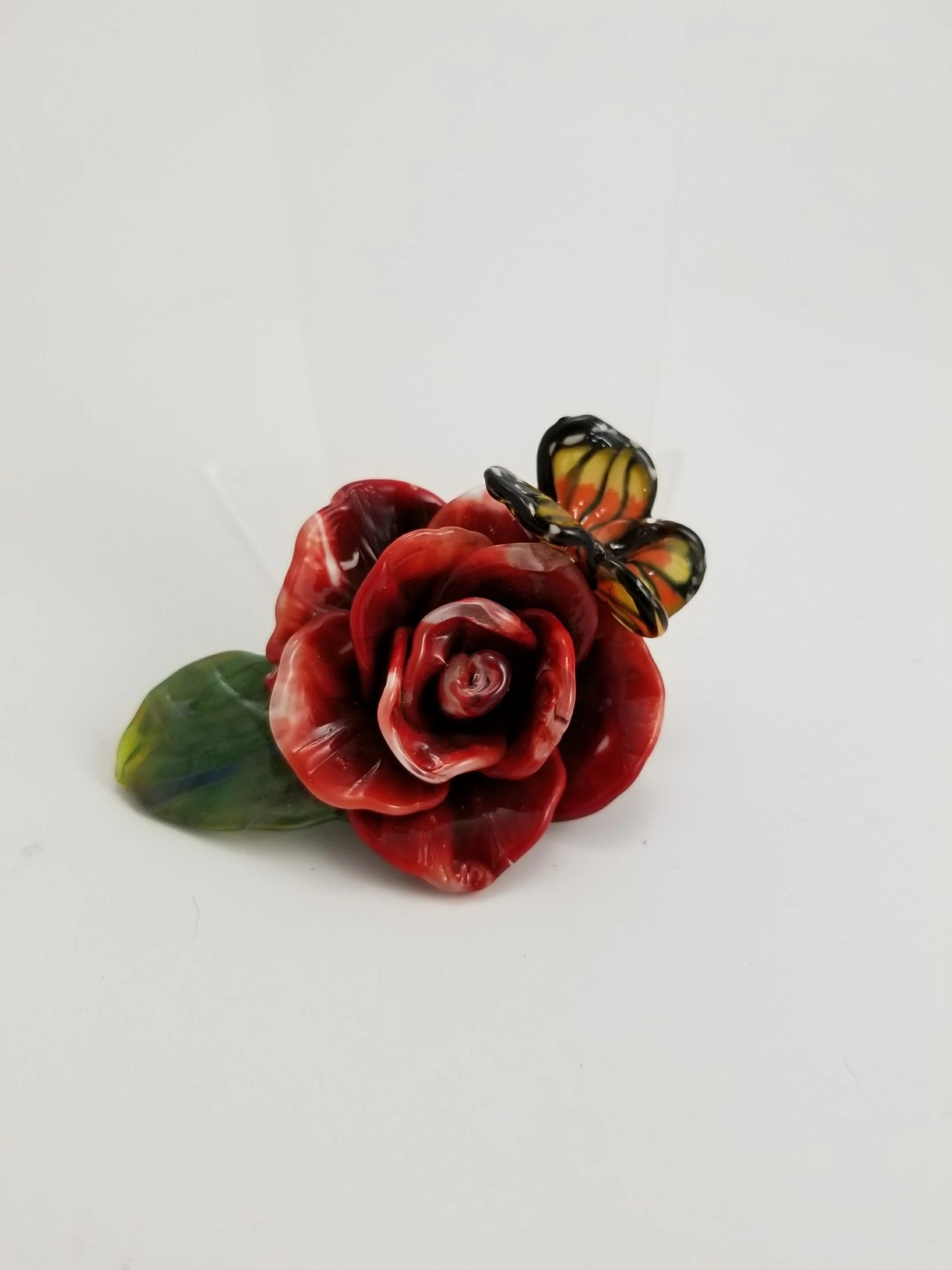 20180301_163146.jpg