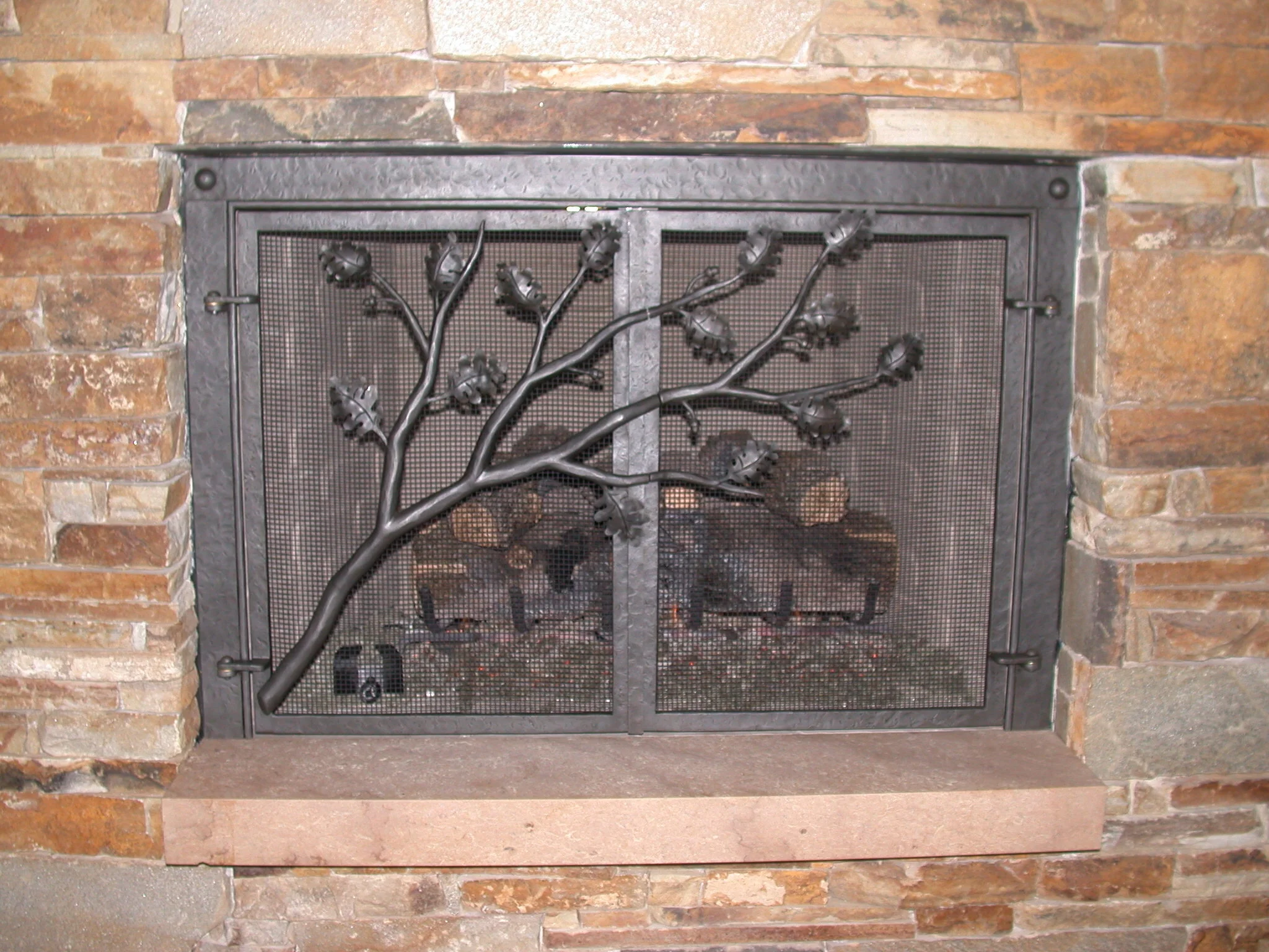 Jill Turman - DSCN2512.JPG