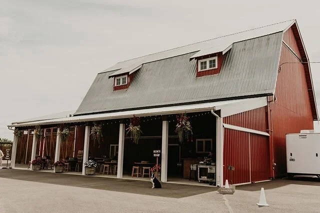 A full day of tours today in this rainy wind storm! Can you spy cutie lady bright and center?? 🥰🐕⠀⠀⠀⠀⠀⠀⠀⠀⠀⁣
⁣
Photography: @marcela.jpg ⁣ ⠀⠀⠀⠀⠀⠀⠀⠀⁣
#thebarnpnw #married #weddingday #scenesfromthebarn #oregonweddings #oregonbride #oregonbrideandgroo