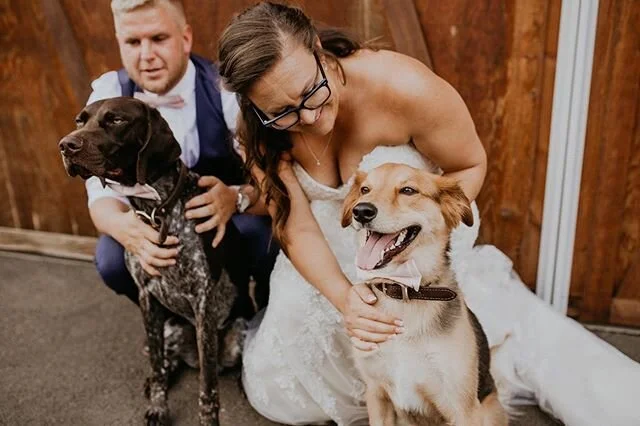 The cutest pups + sweetest couple to brighten your day 😊🐶⠀⠀⠀⠀⠀⠀⠀⠀⠀
⠀⠀⠀⠀⠀⠀⠀⠀⠀
📸: @meggrow ⠀⠀⠀⠀⠀⠀⠀⠀⠀
#thebarnpnw #married #weddingday #scenesfromthebarn #oregonweddings #oregonbride #oregonbrideandgroom #adventurewedding #tablescape #oregonbarnweddi
