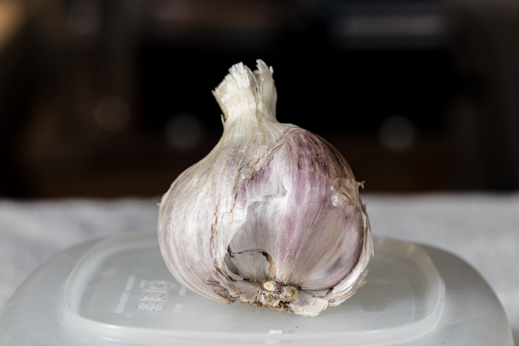 Birth of Garlic