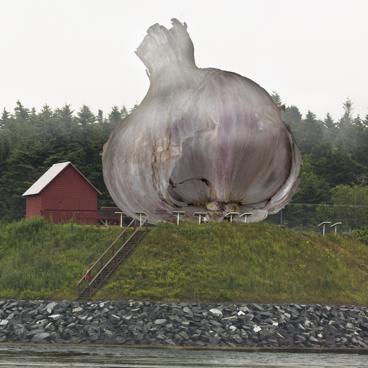 The Garlic has landed