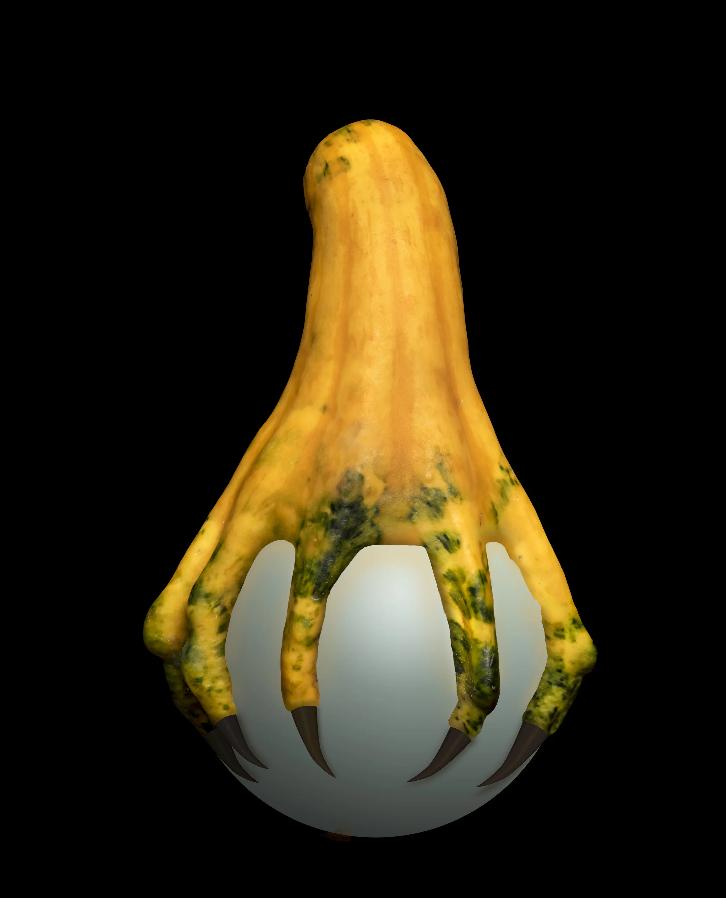 Gourdian not