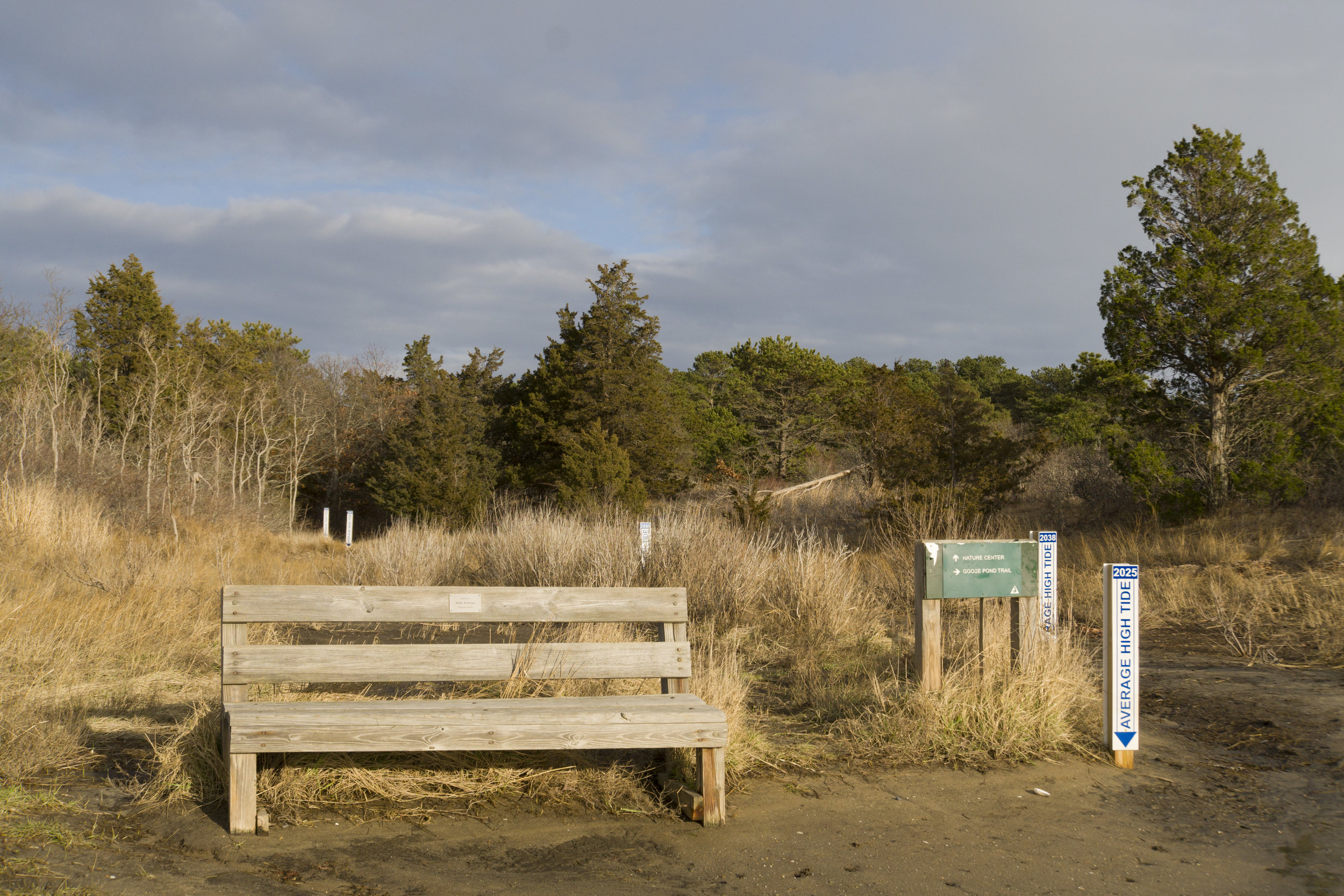 _A650953-Edit.jpg