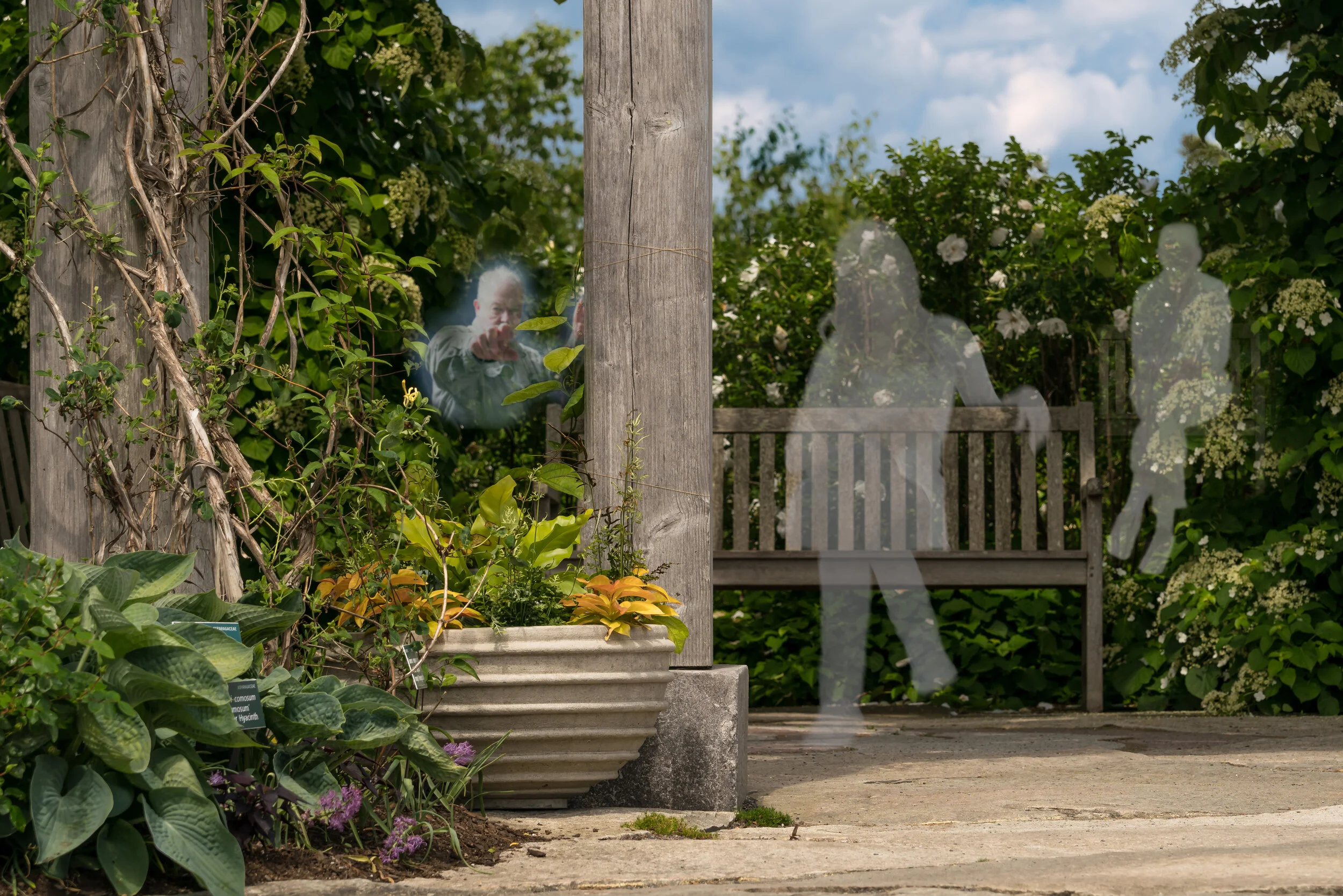 Careful, he sees you!