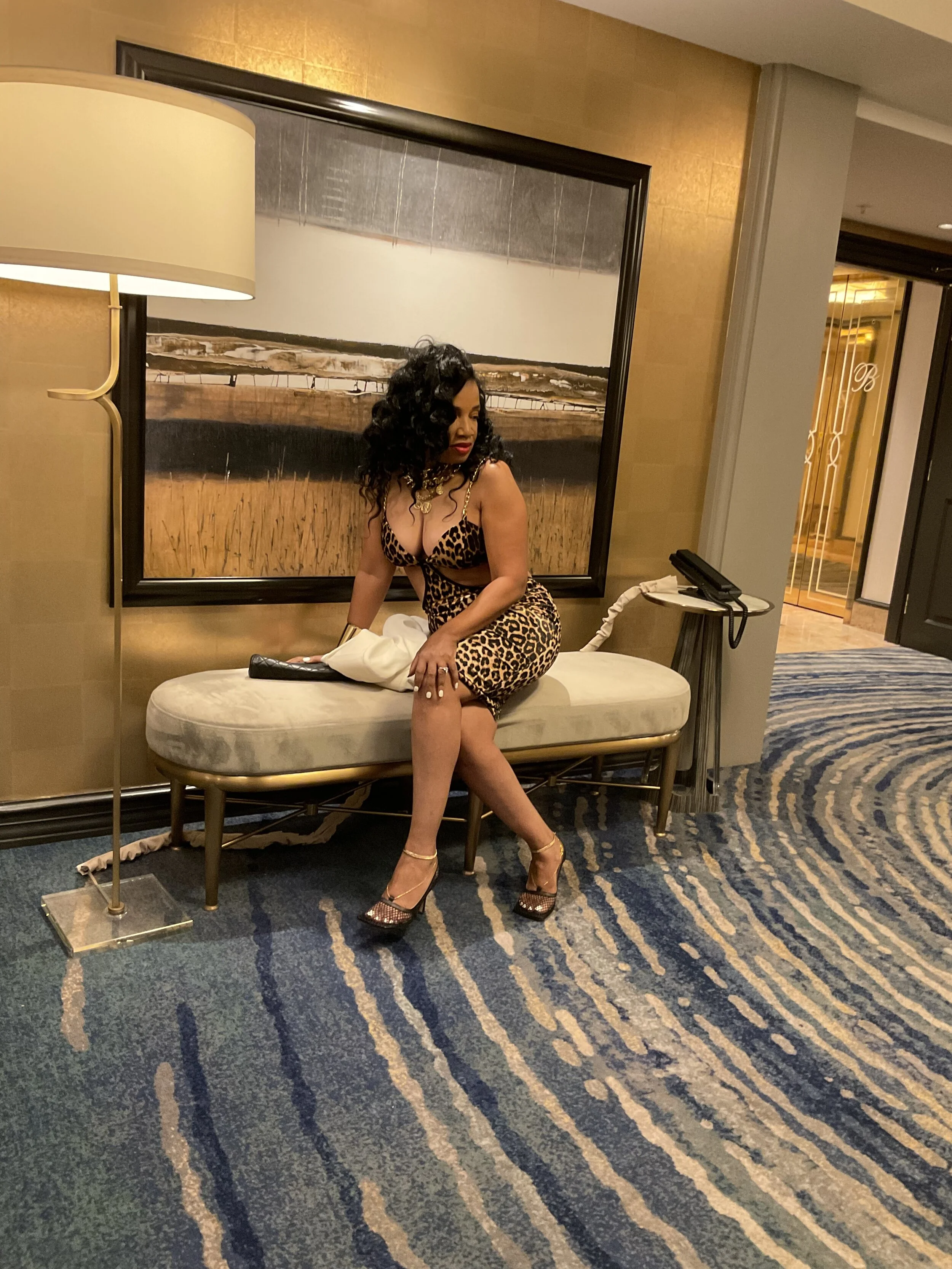 Amber Leopard dress