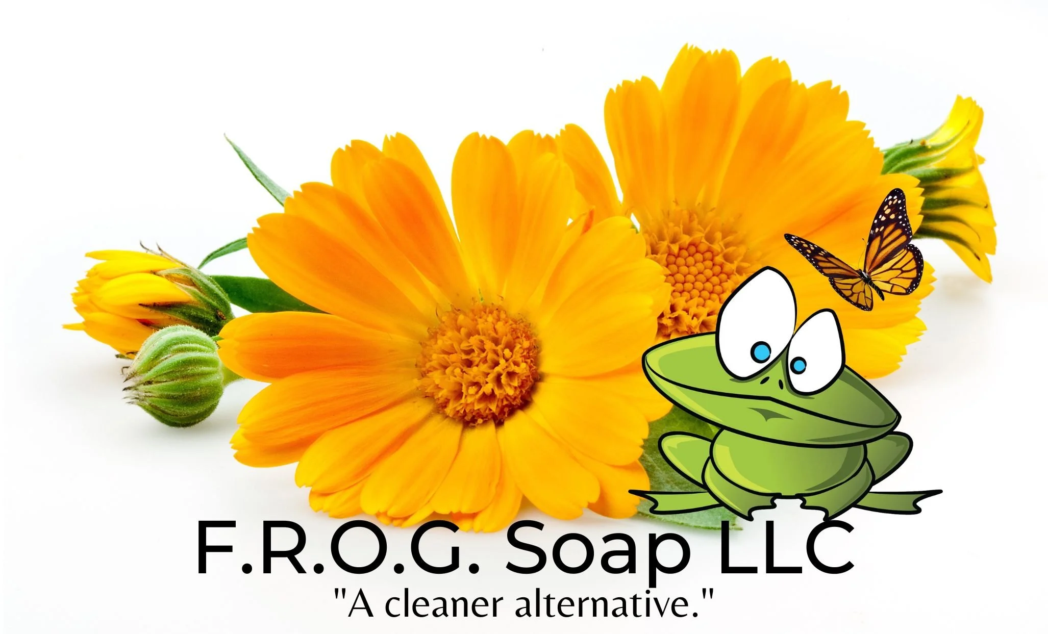 FROG Soap logo hi-res.pdf.jpg