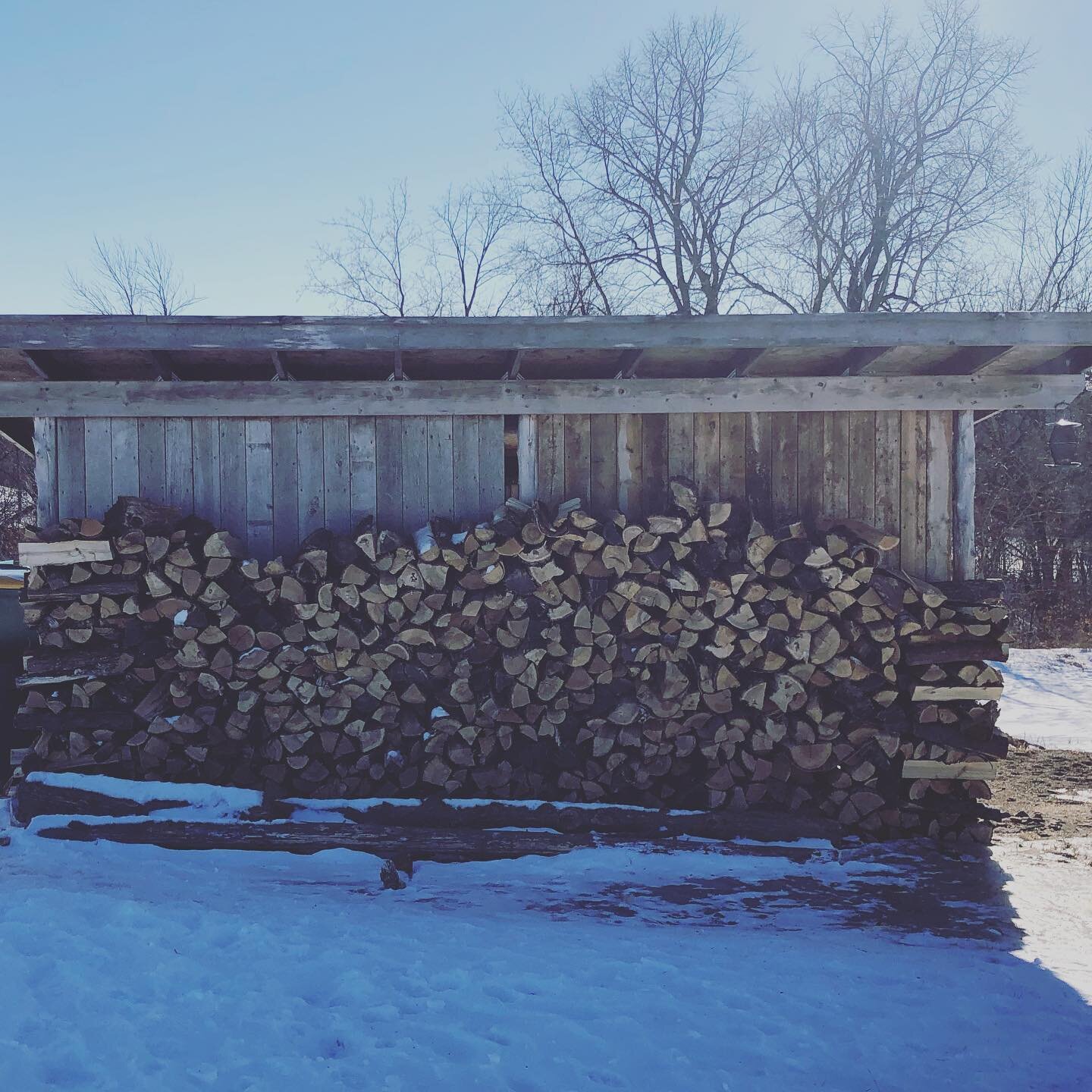 So thankful for an abundance of wood on these cold winter days. We had about half of what we needed and then our dear friends and CSA members showed up with a whole trailer full of wood from the north woods. Extraction and chopping of wood tasks idea