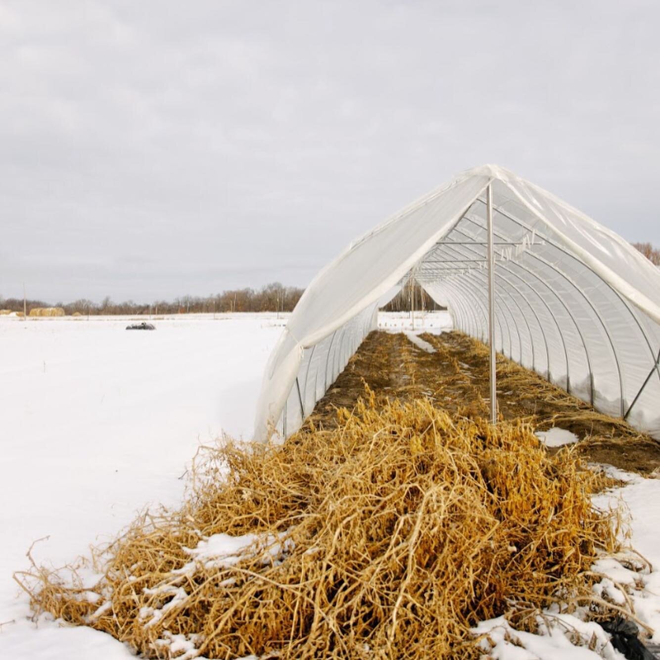 Winter on the farm. Photos taken by talentednn by photographer, Sarah Champeau- @champeau . I especially like the 2nd photo- the whole farm folded in to a tiny greenhouse to over winter!