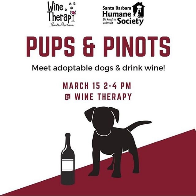 Looking for something fun and safe to do? Look no further! We have some furry friends for you to play with that are looking for a potential home! 2-4pm today! 🐶 🍷 ————————————&