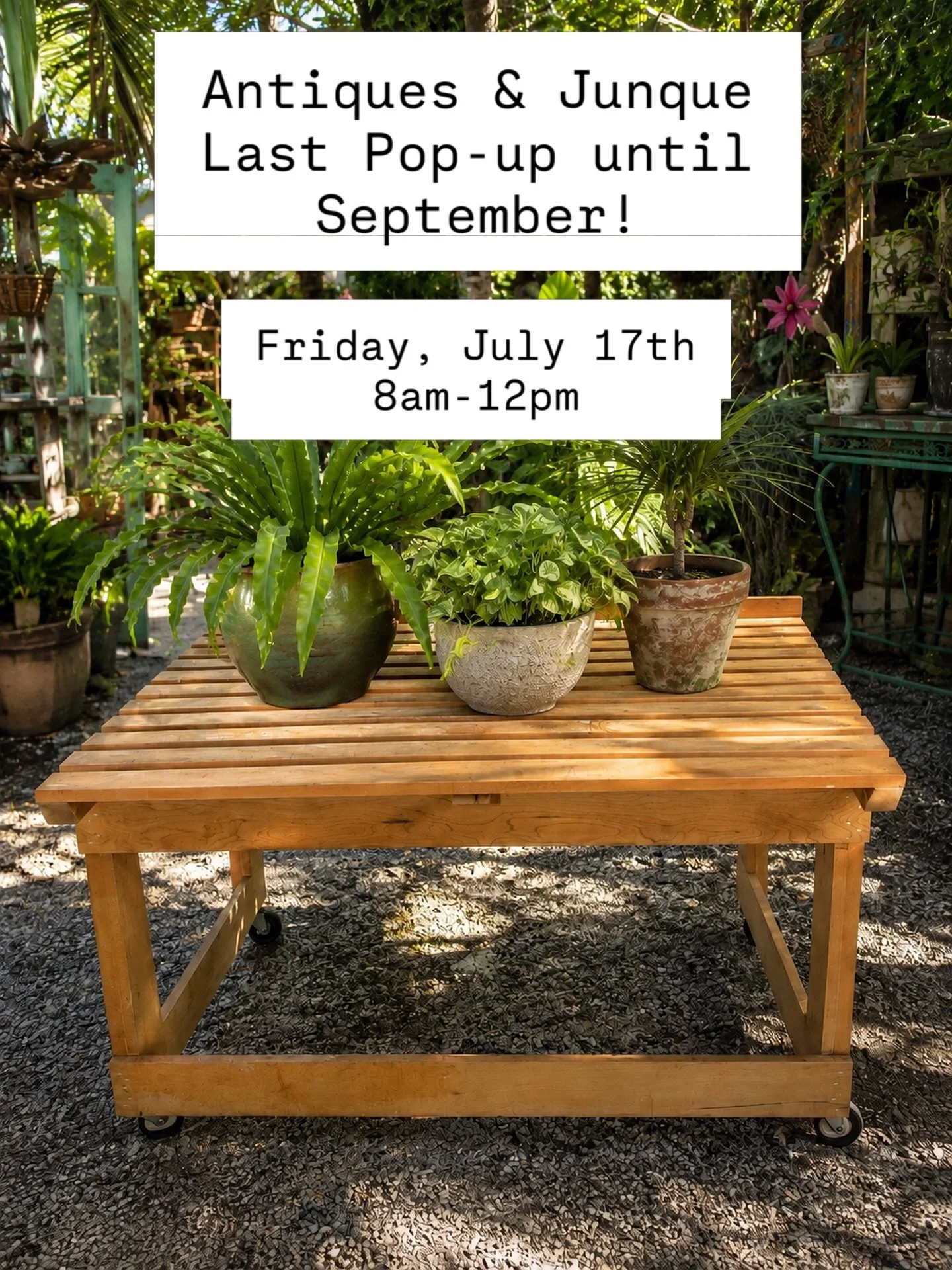 ONE MORE SALE! This Friday 8am-12ish and then we close up until September!  BUT we have a lot of pretty things left and we&rsquo;re about to inherit some really amazing pieces of furniture from another house. 🚬🕶️ so I can start refilling the barns 