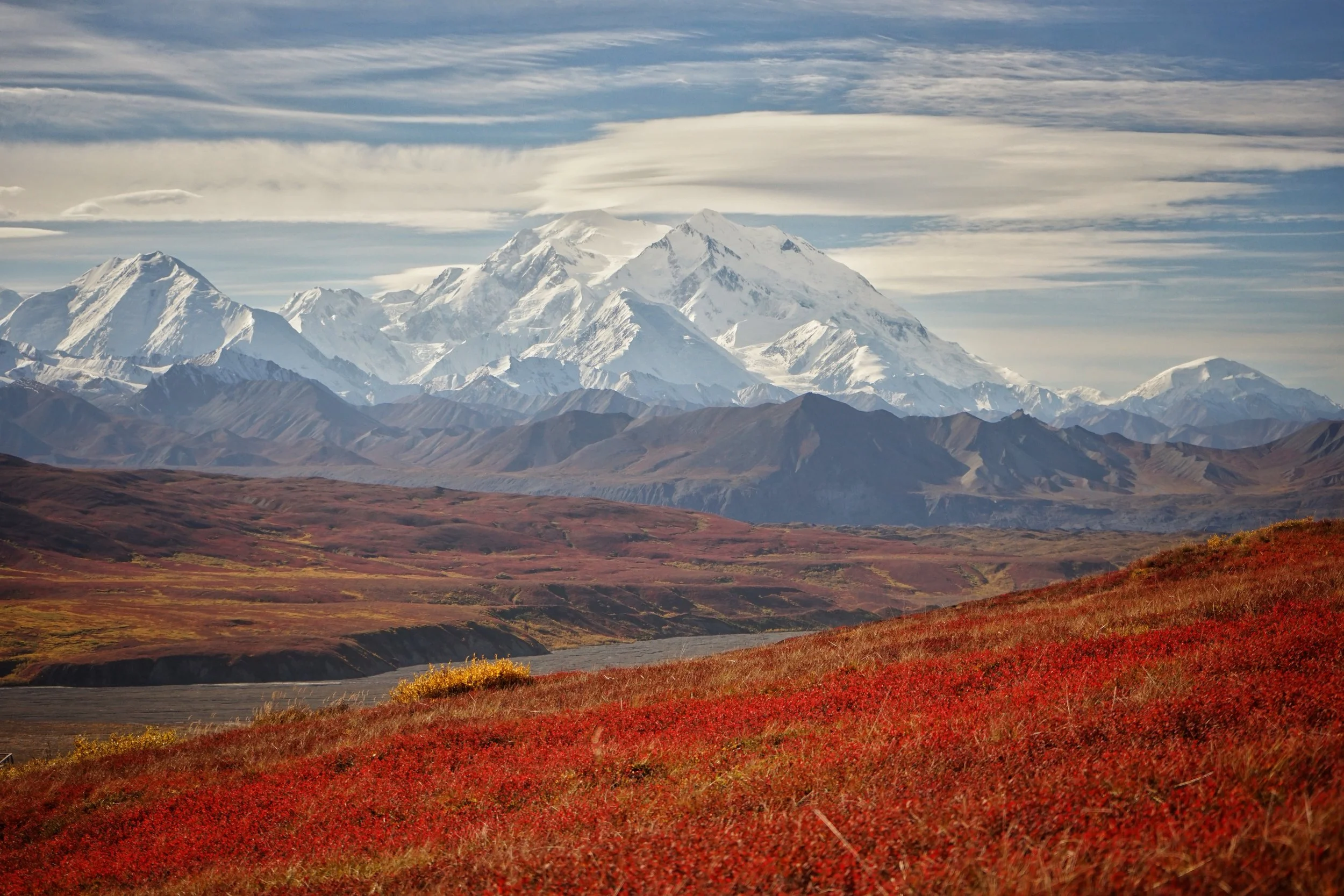 The tall one, Denali.