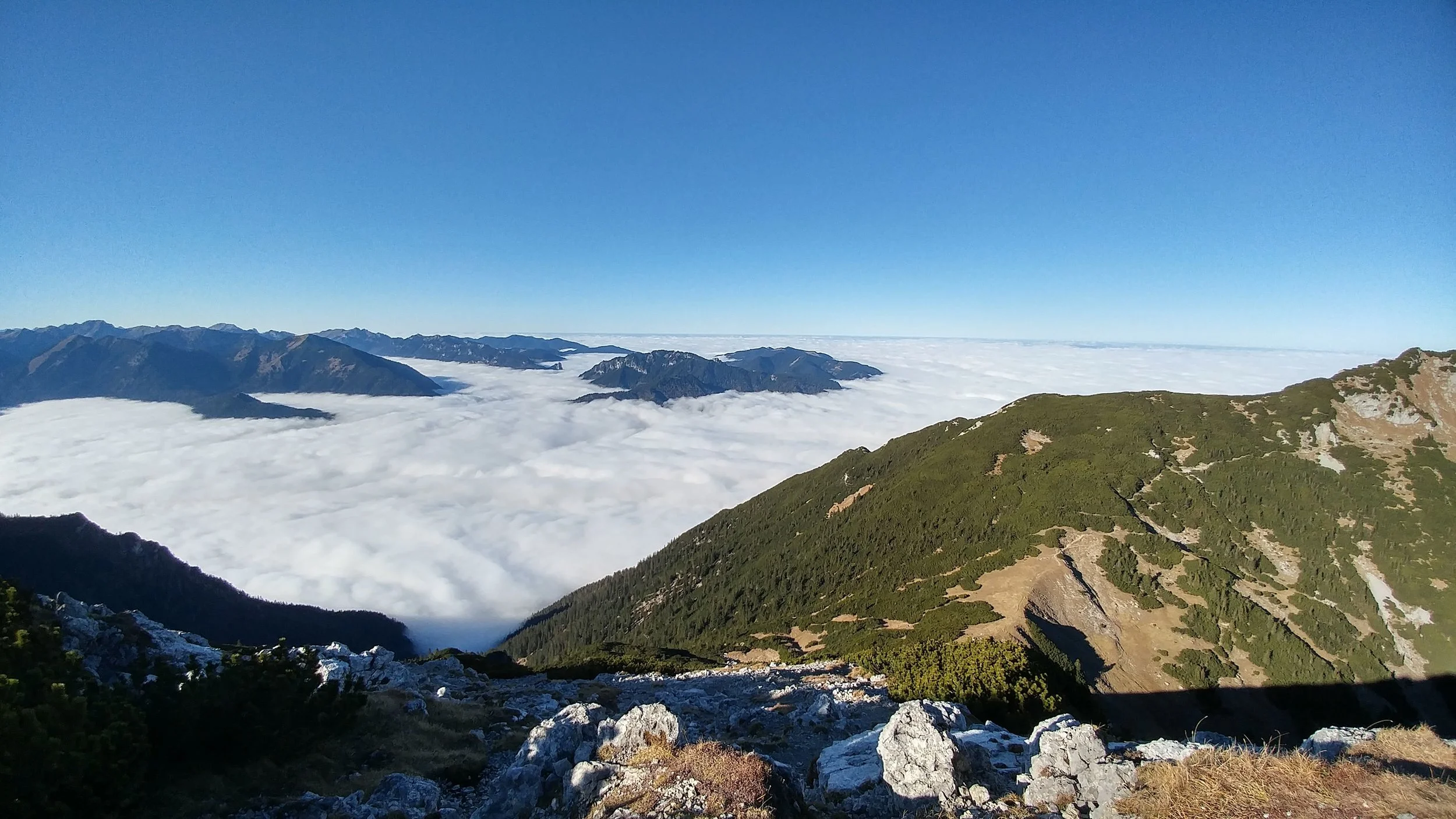 View northwest from Bischof peak in the Bavarian Prealps. Munich is in the distance on the right, hidden beneath the fog. The geology, morphology, and vegetation of these mountains were very reminiscent of the front ranges of the Canadian Rockies.