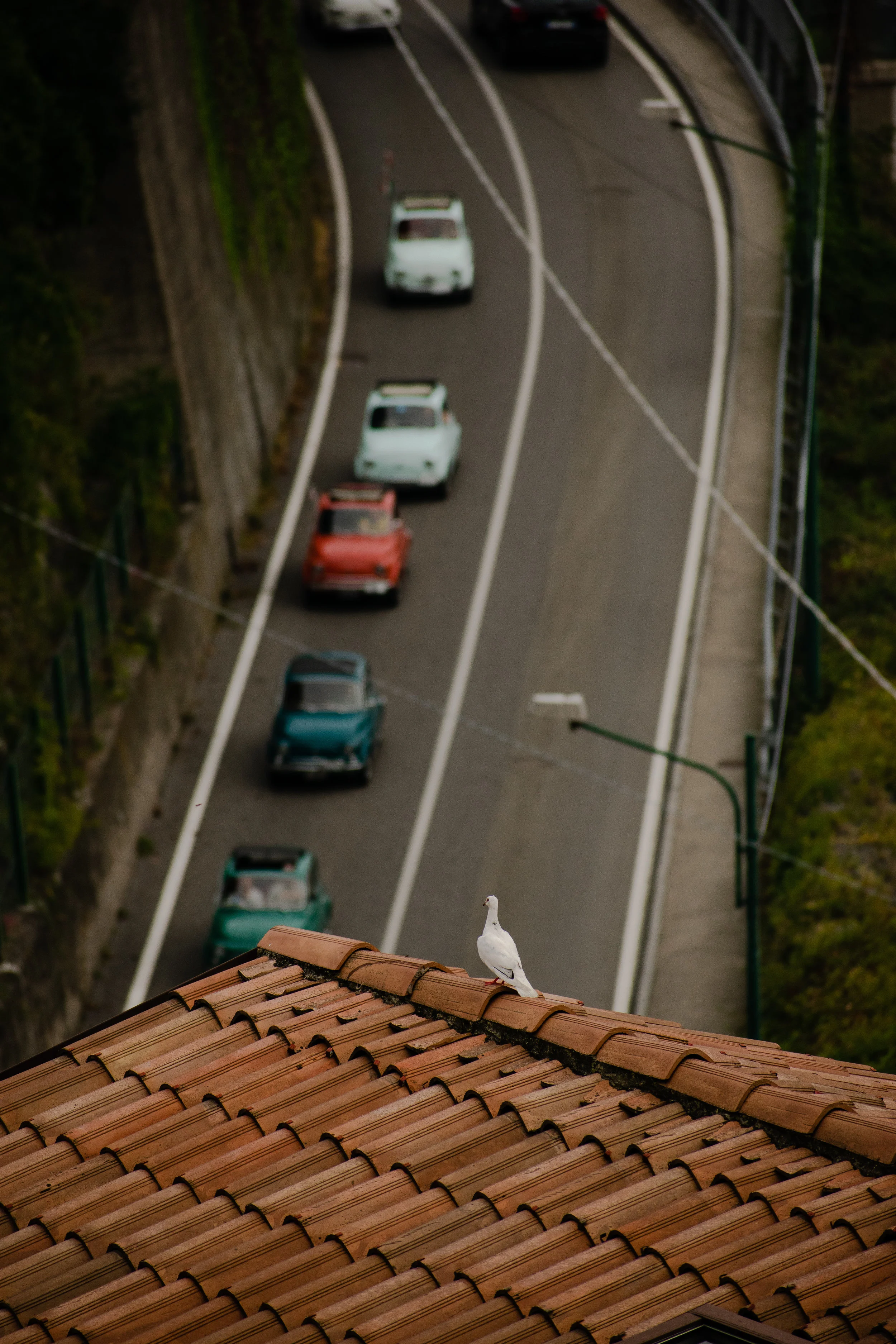 DSC_0619.jpg