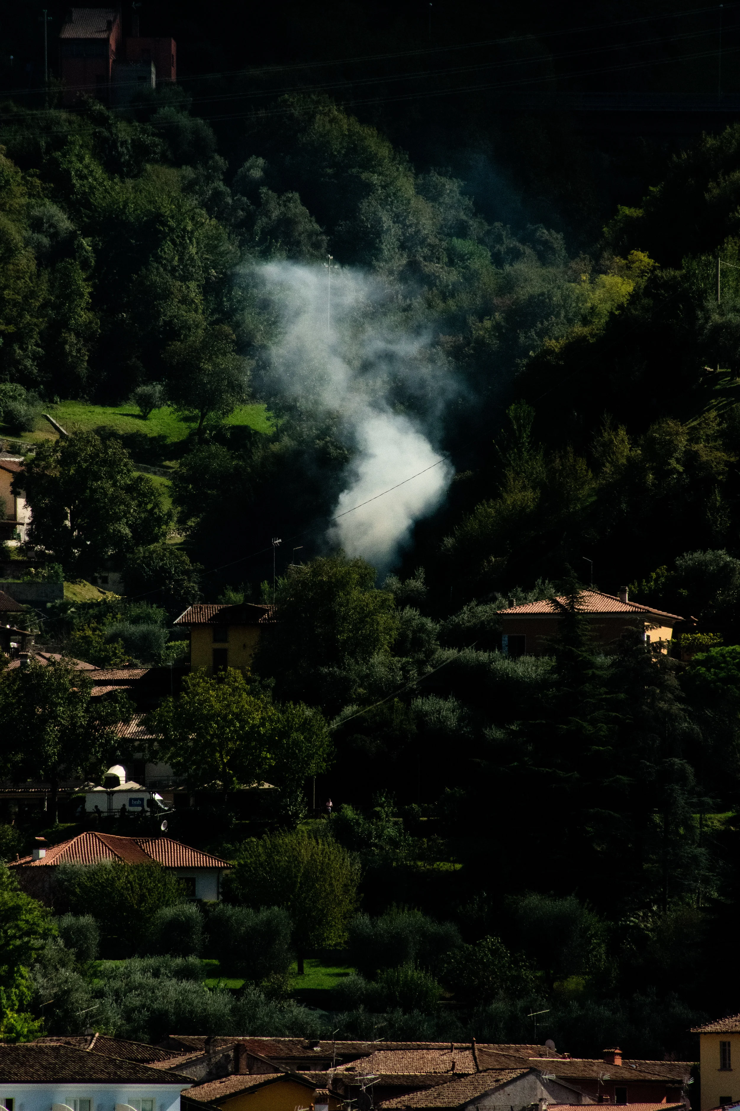 DSC_0811.jpg